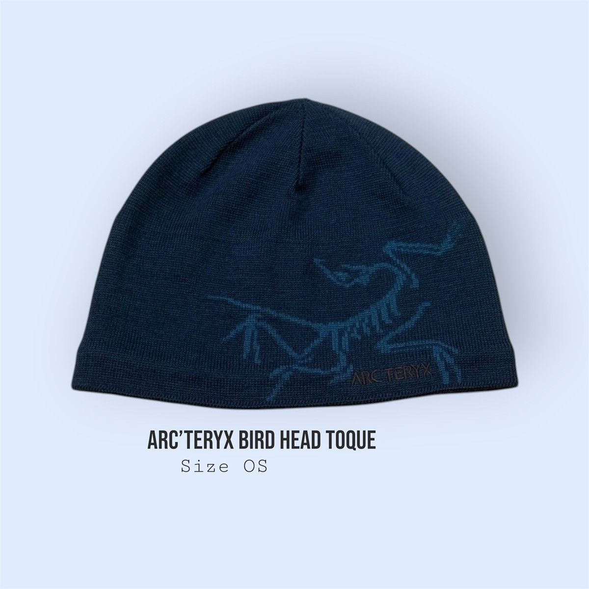 Arc'teryx Arcteryx Bird Head Toque Beanie Baby Blue Daybreak | Grailed