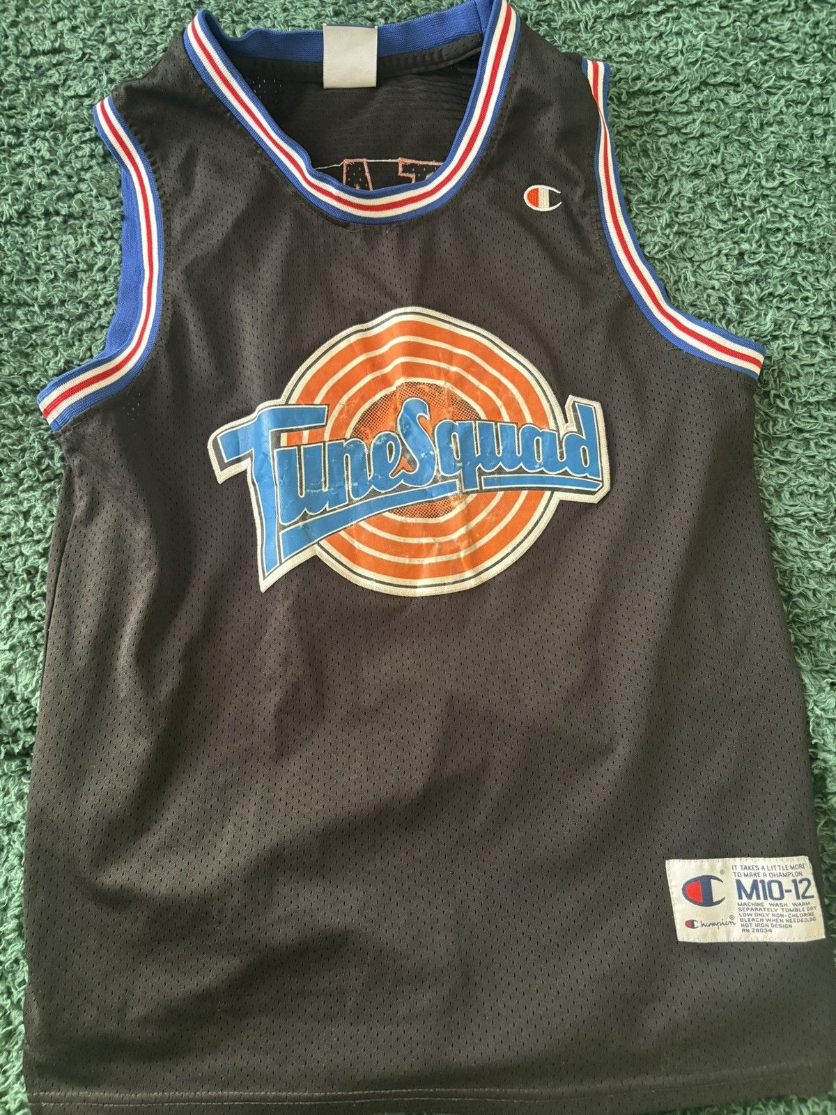 Champion Tune Squad Tasmanian devil jersey Size US M / EU 48-50 / 2 - 1 Thumbnail