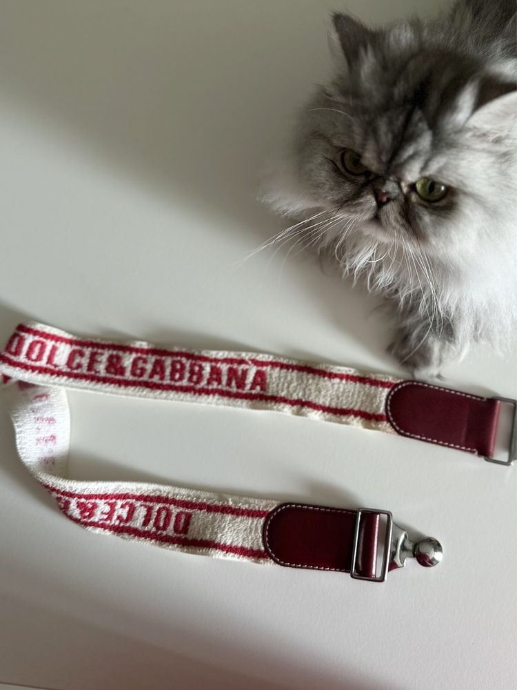 Dolce & Gabbana Dolce Gabbana Stretchy Belt Size ONE SIZE - 1 Thumbnail