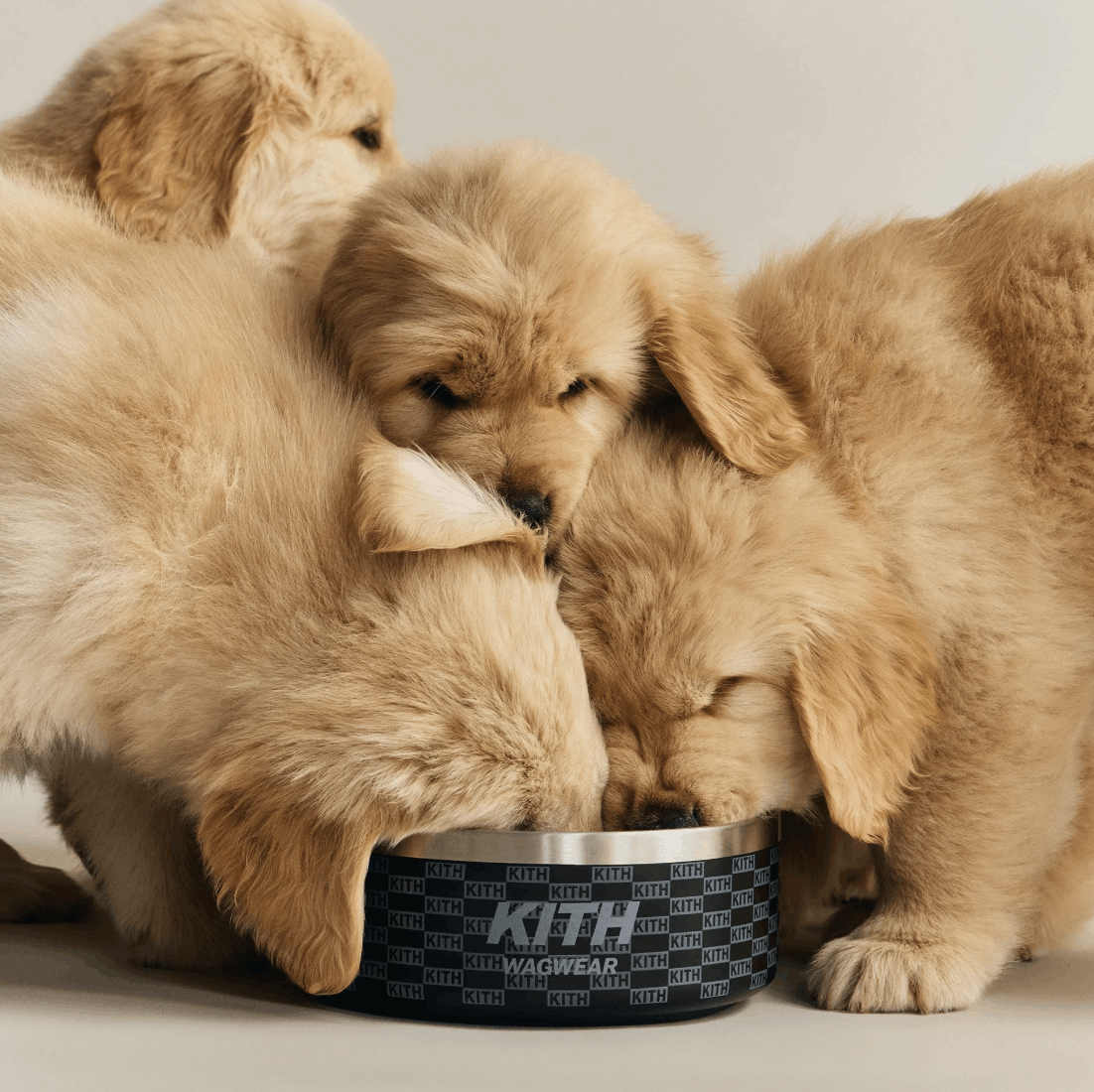 Kith Kith for wagwear Metal Dog Bowl - Black Size ONE SIZE - 6 Thumbnail