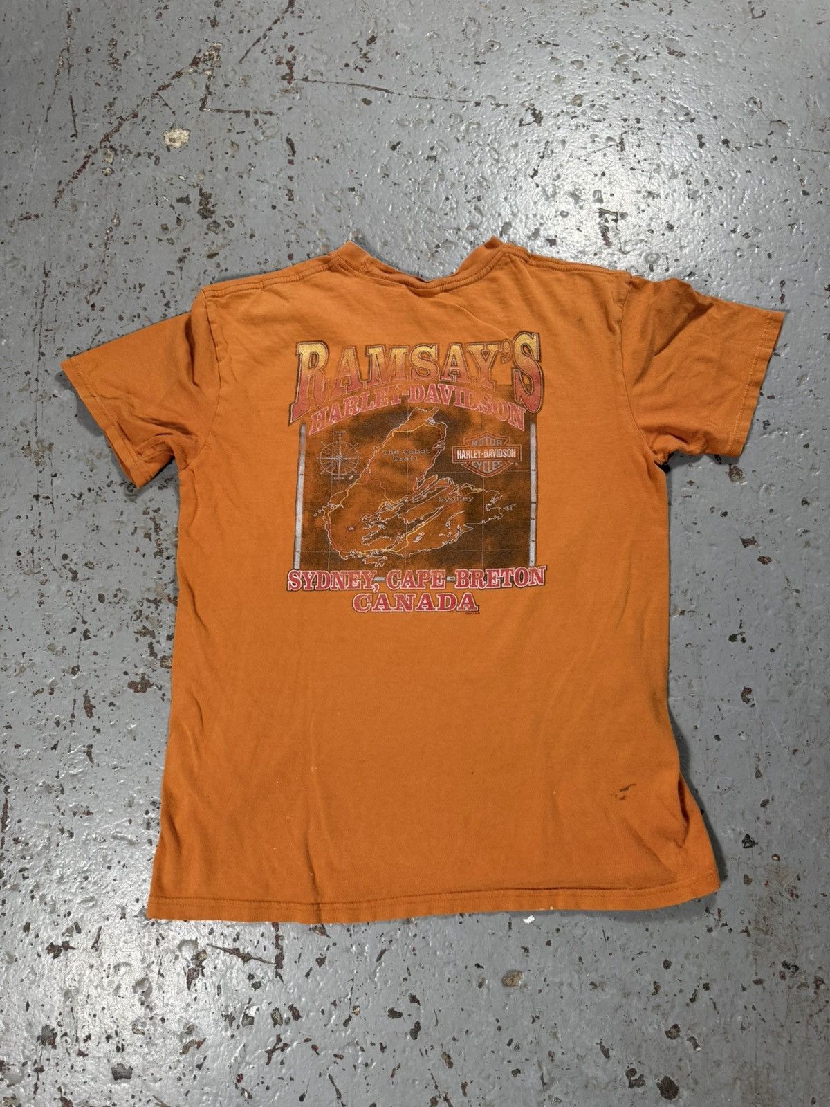 Harley Davidson Distressed Sun Faded Burnt Orange Harley Davidson Tee Size US M / EU 48-50 / 2 - 8 Thumbnail