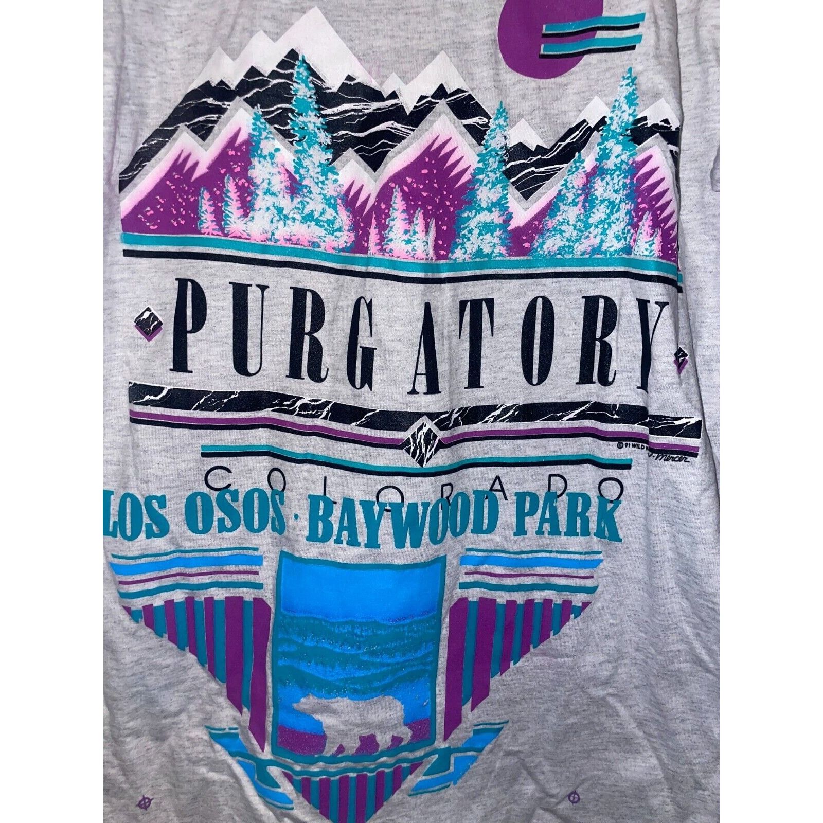 Signal Sport Vintage Purgatory Shirt Baywood Park CO Test Print Ski 90s L Size US L / EU 52-54 / 3 - 2 Thumbnail