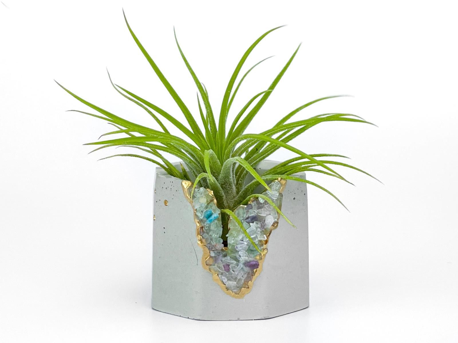 Other Succulent Pot Fluorite Crystal Planter Geode Air Plant holde Size ONE SIZE - 1 Thumbnail