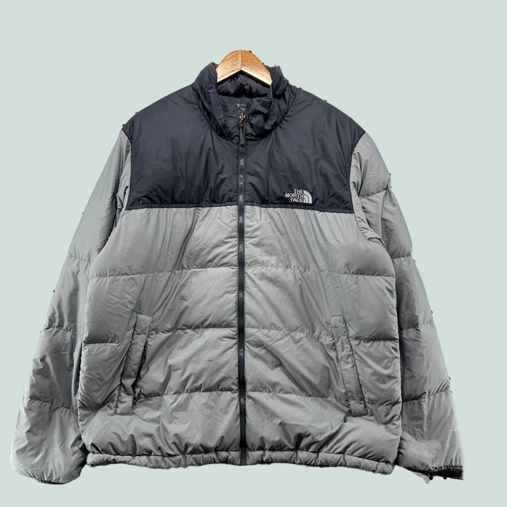 The North Face The North Face 700 Metro Down Puffer Zip Up Jacket