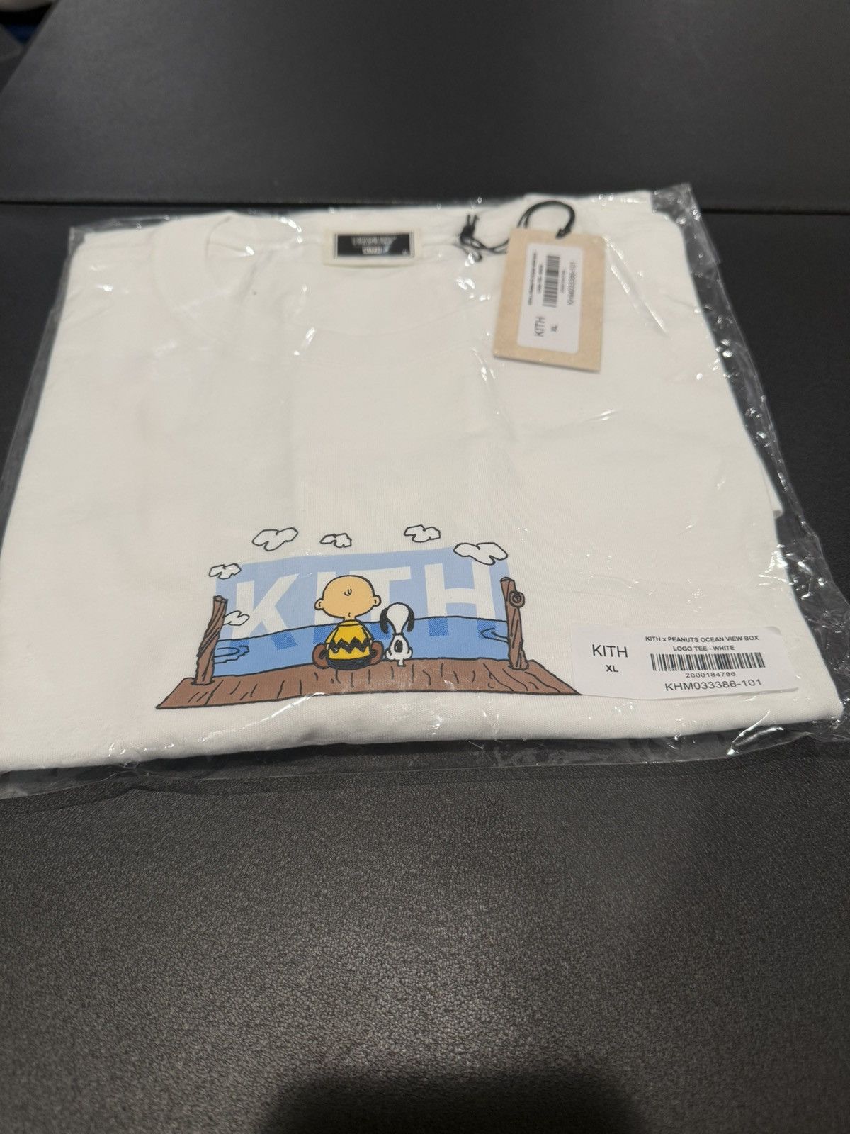 Kith × Peanuts KITH PEANUTS SNOOPY OCEAN VIEW BOX LOGO Size US XL / EU 56 / 4 - 1 Thumbnail