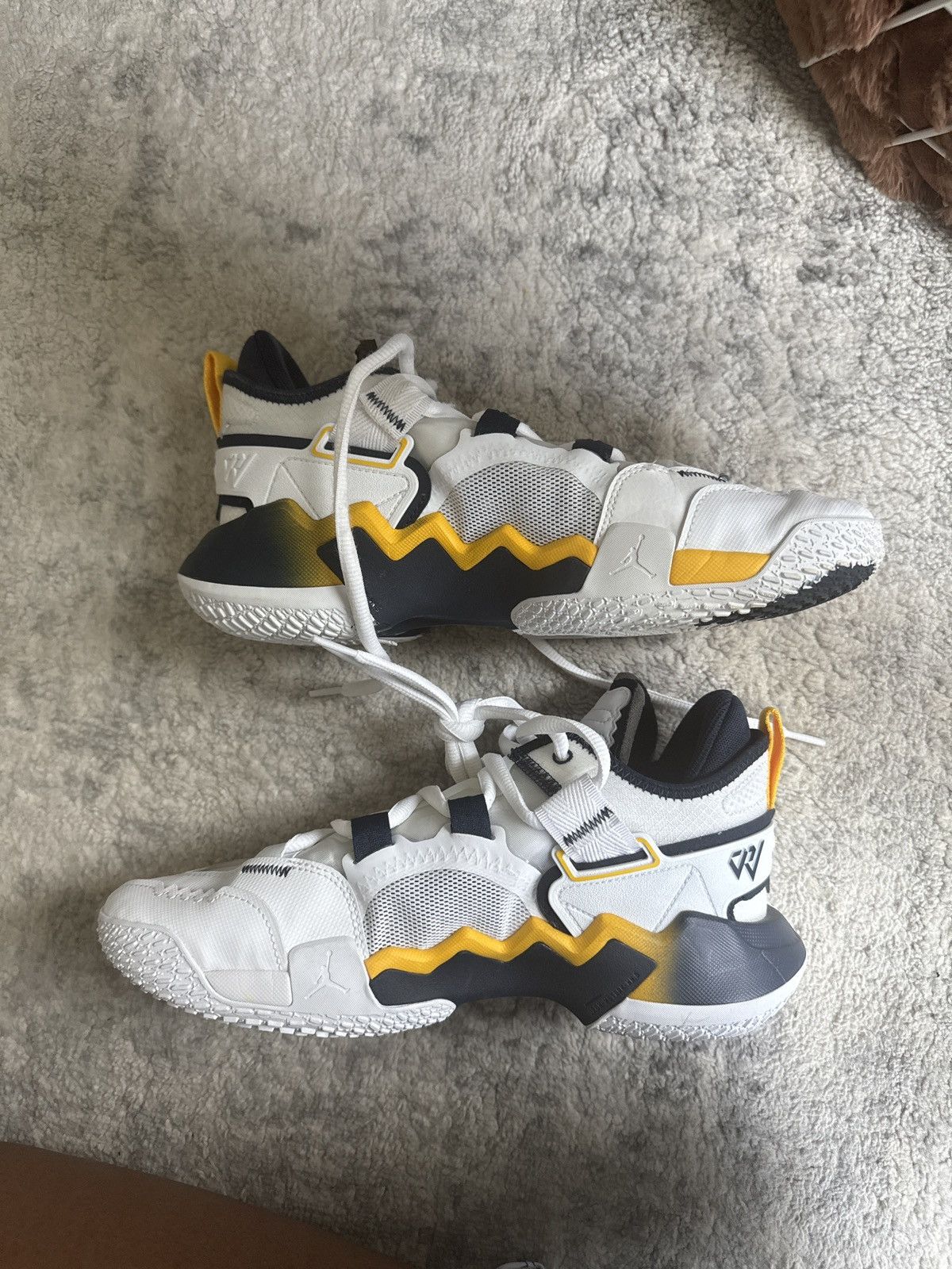 Jordan Brand Michigan PE’s Size US 8 / EU 41 - 2 Thumbnail
