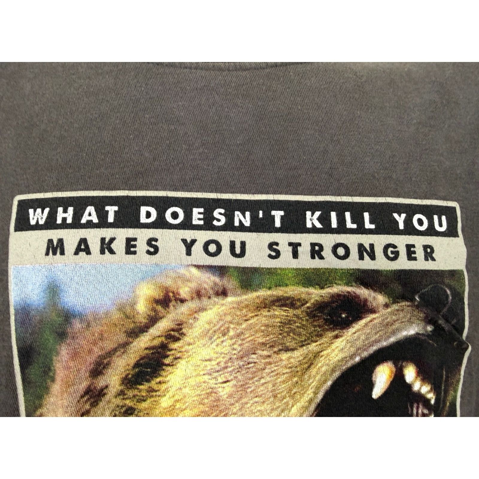 Vintage VINTAGE The Duck Co. Shirt Men's XXL Skagway Alaska Brown Bear Nature Outdoors Graphic Print T-Shirt 2000s Y2K Animals Hipster Funny 90s? Size US XXL / EU 58 / 5 - 5 Thumbnail
