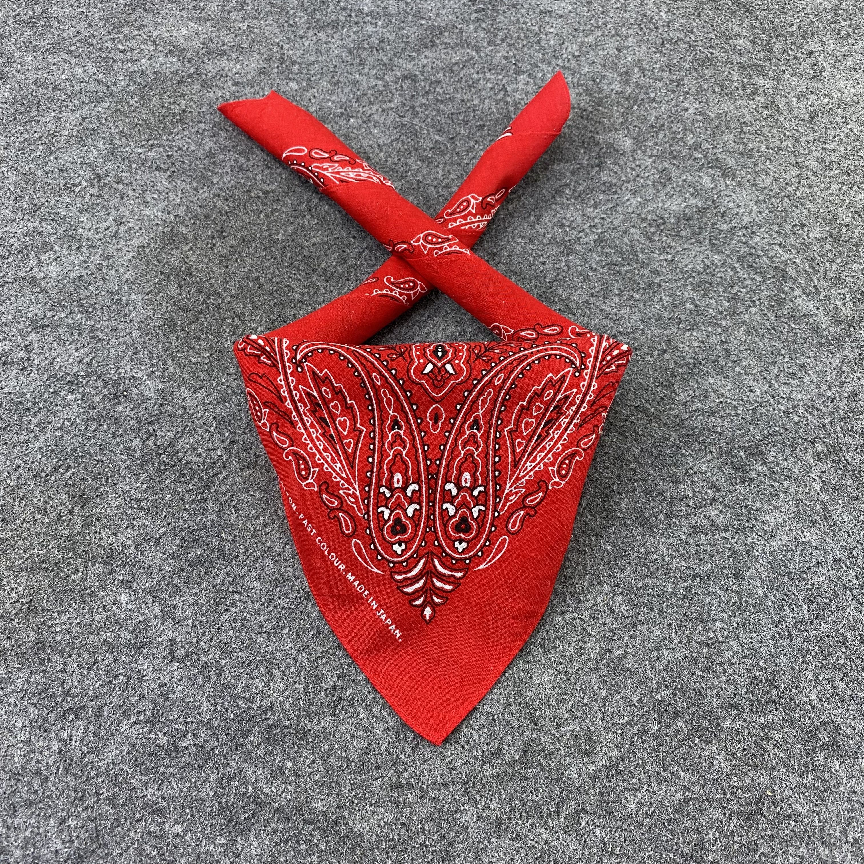 Japanese Brand Paislee Handkerchief / Bandana / Neckerchief-B1427 Size ONE SIZE - 4 Thumbnail