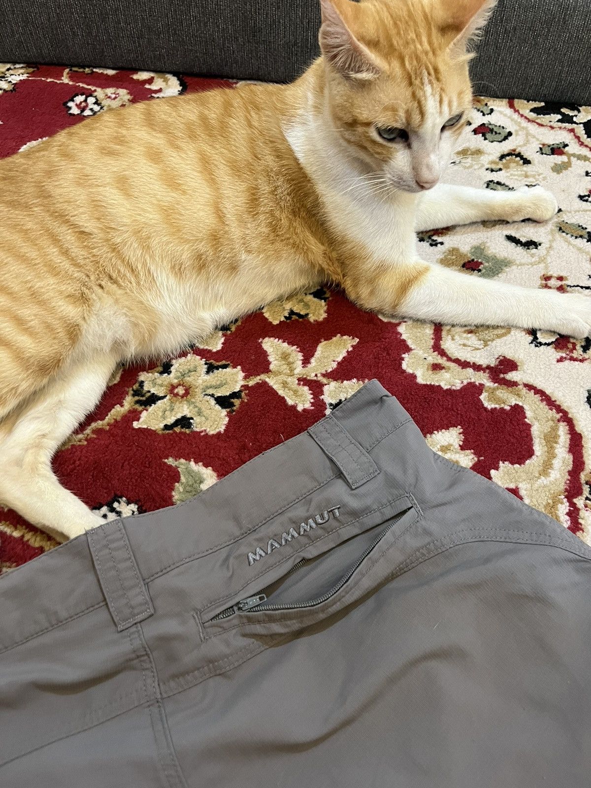 Mammut Mammut Outdoor Short Size US 28 / EU 44 - 7 Thumbnail