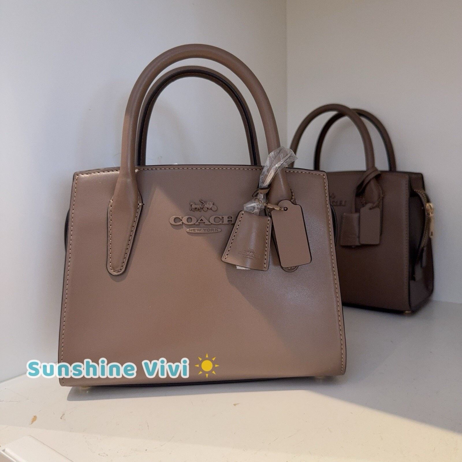 New COACH Andrea Carryall Shoulder Bag CP081 Gold/Dark Stone