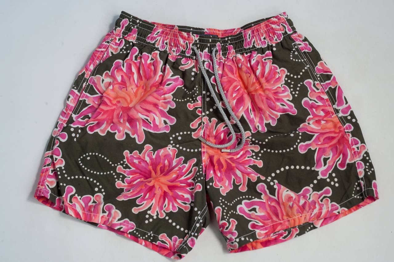 Vilebrequin Mens Printed Beach Swim Shorts