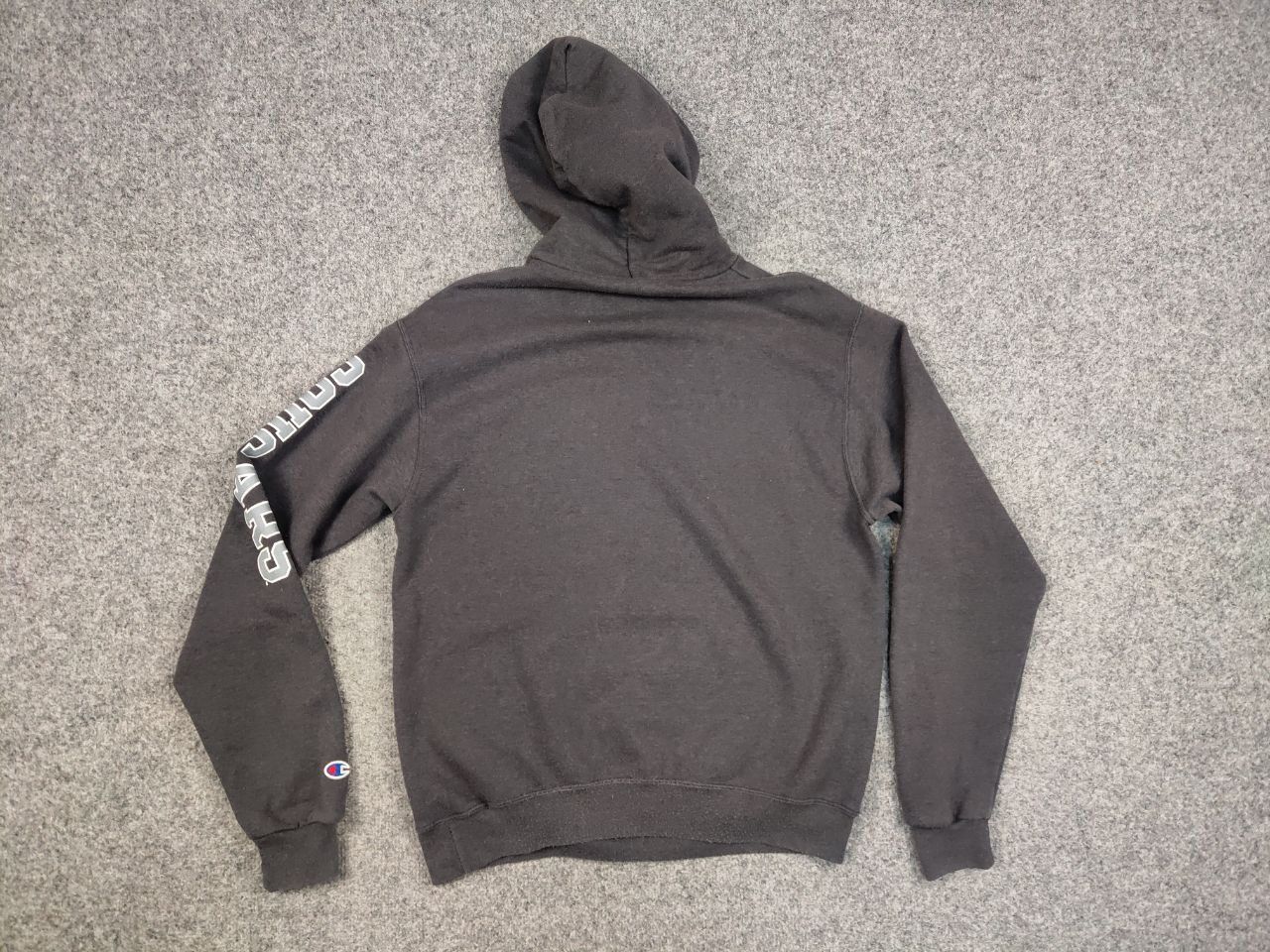 Champion Vintage 90's Champion washington state cougars Logo Hoodie Size US M / EU 48-50 / 2 - 13 Thumbnail