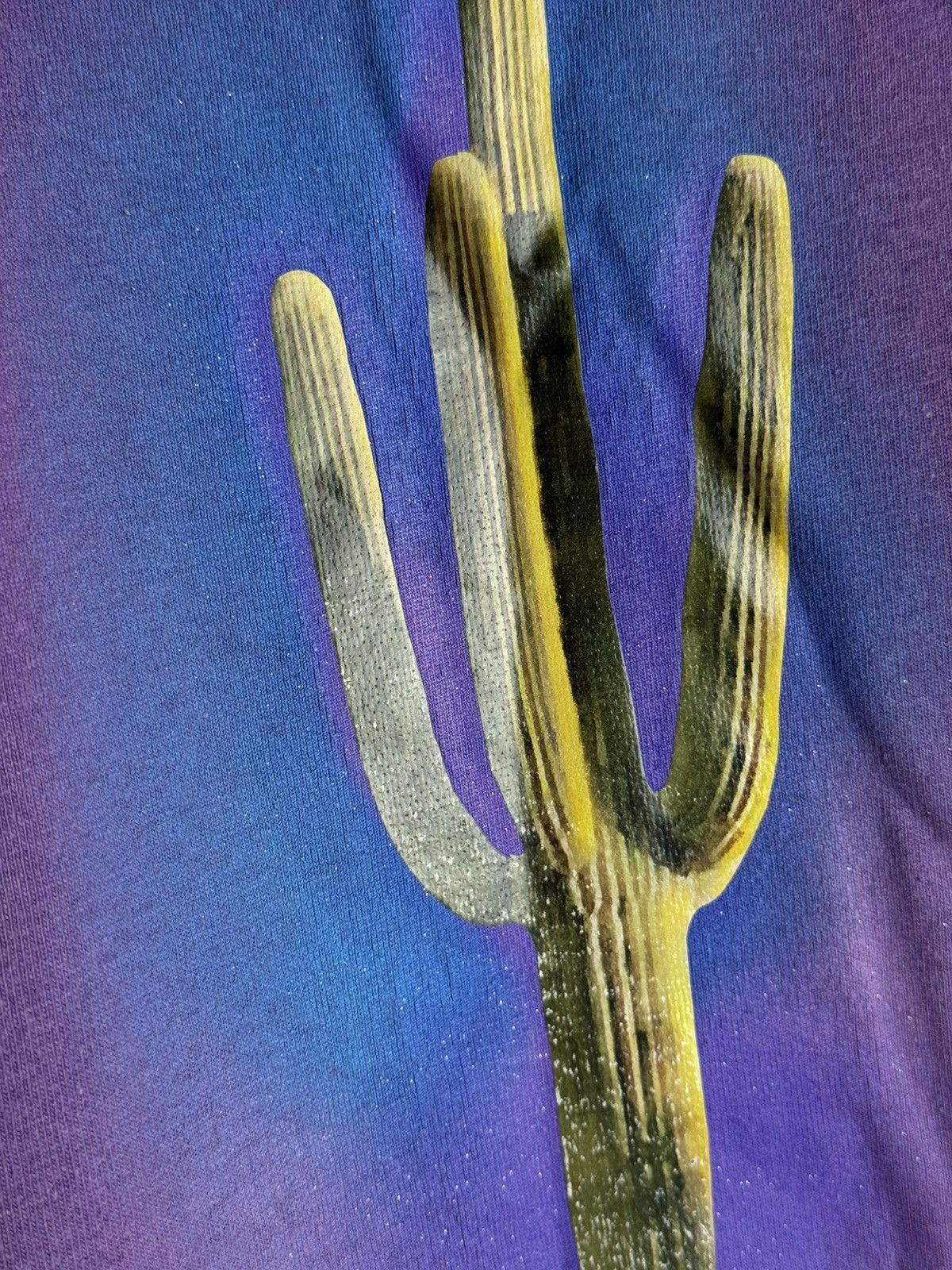 Palm Angels Palm Angels Cactus S/S T-Shirt Purple Size US M / EU 48-50 / 2 - 3 Thumbnail