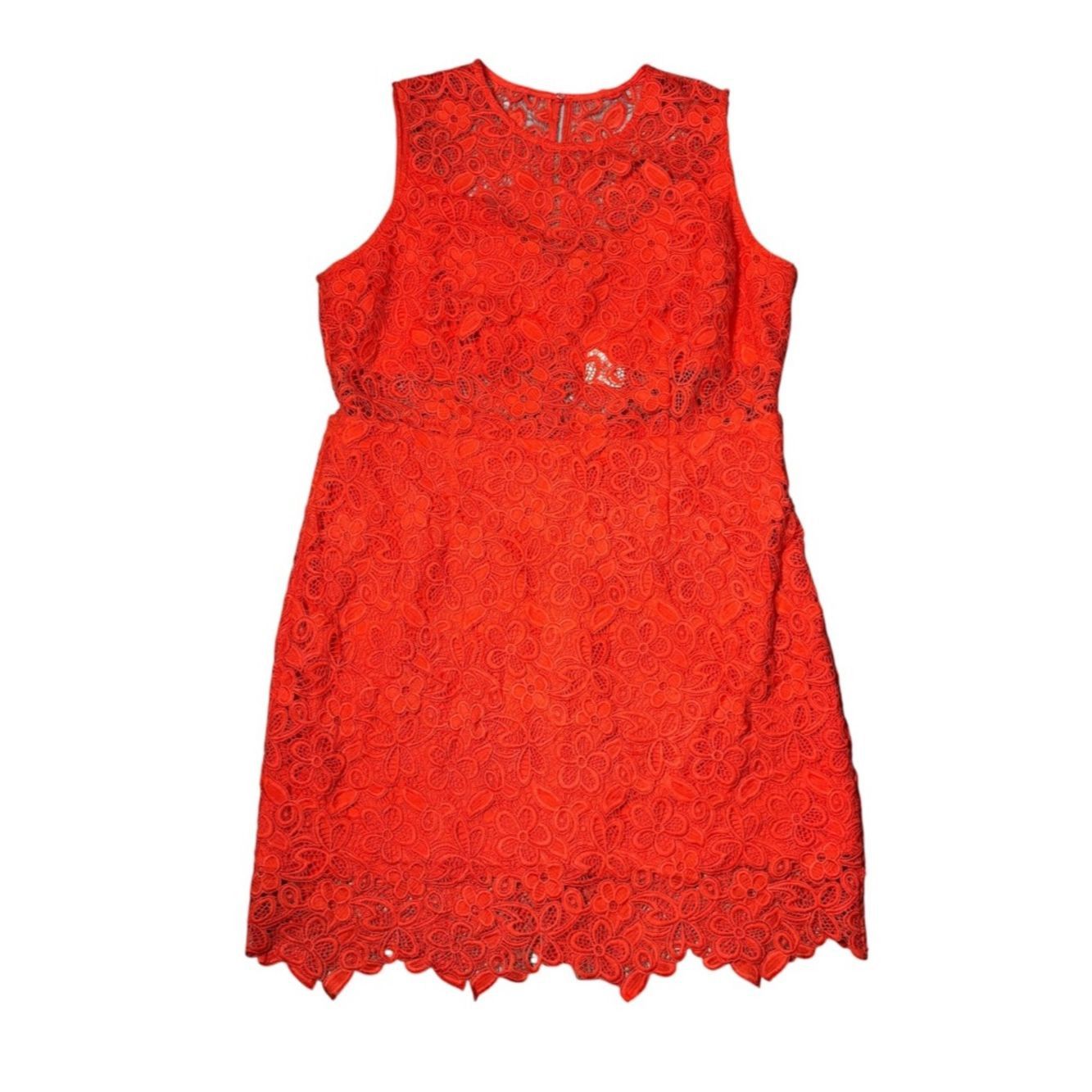 Hutch NWT New $238 Hutch Floral Lace Sheer Mini Dress Size 16W Size XXL / US 16-18 / IT 52-54 - 3 Thumbnail