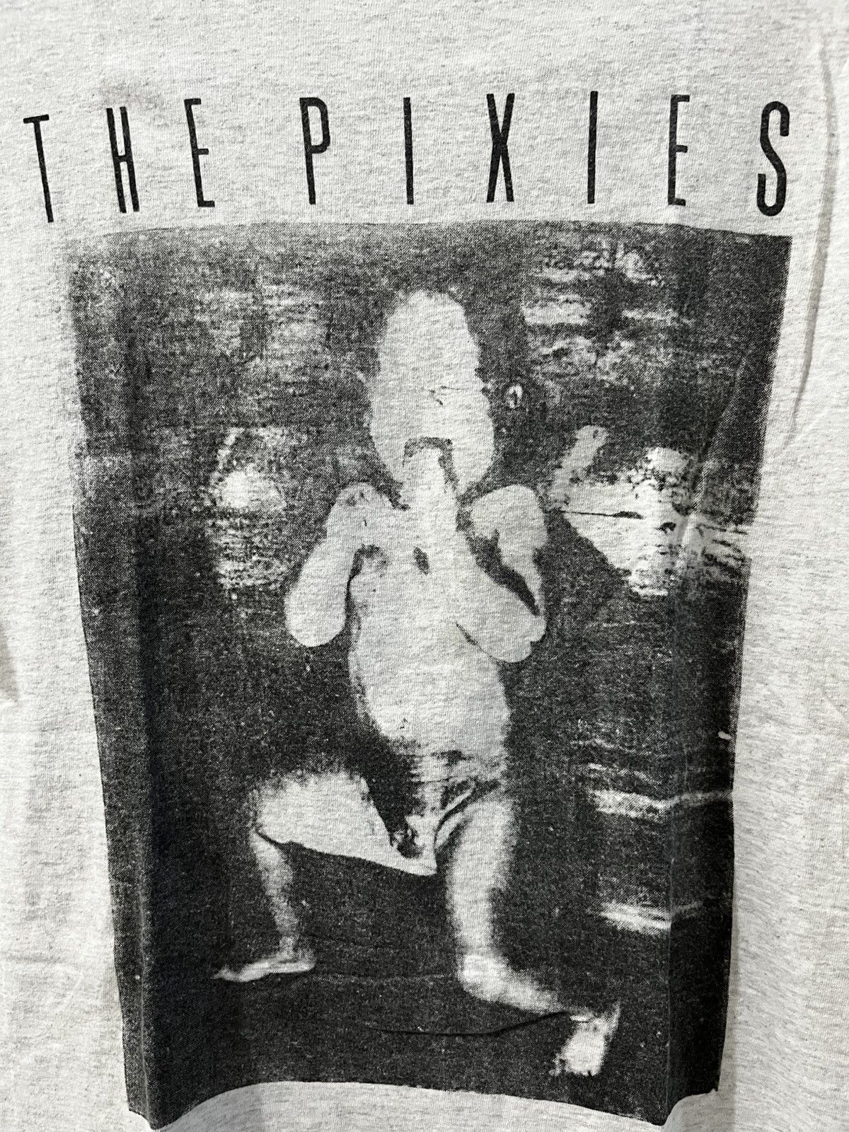 Band Tees THE PIXIES TSHIRT Size US M / EU 48-50 / 2 - 2 Thumbnail