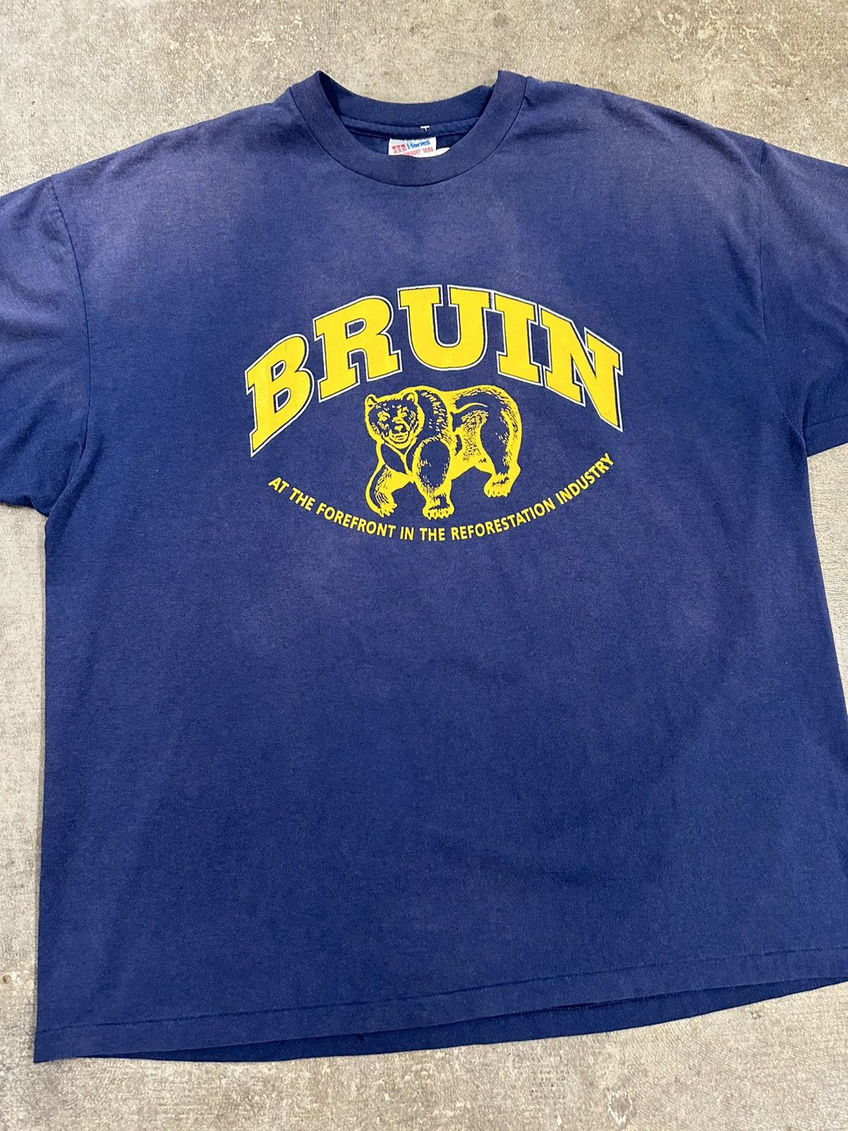 Hanes Vintage 90s Bruin Reforestation Bear Nature T-Shirt Size US XXL / EU 58 / 5 - 3 Thumbnail