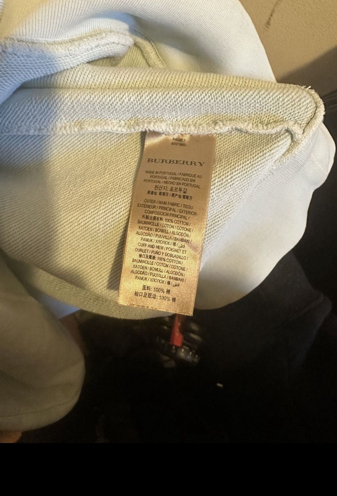 Burberry Elison Logo Burberry Hoodie Size US XL / EU 56 / 4 - 7 Thumbnail