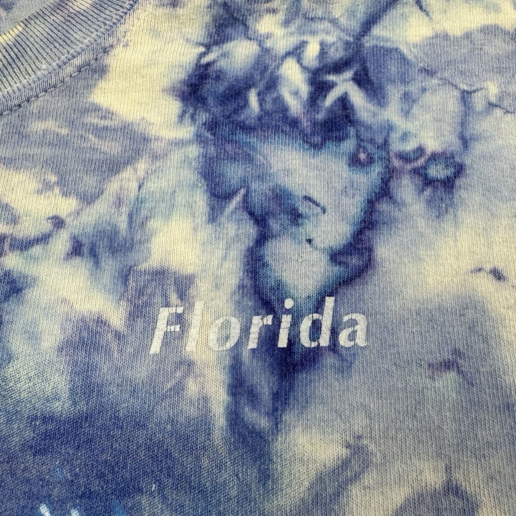 Gildan VINTAGE Gildan T-Shirt Dolphins Florida Ocean Nature 90s Animals Blue Adult Large Crew Neck Short Sleeve Men Size US L / EU 52-54 / 3 - 3 Thumbnail