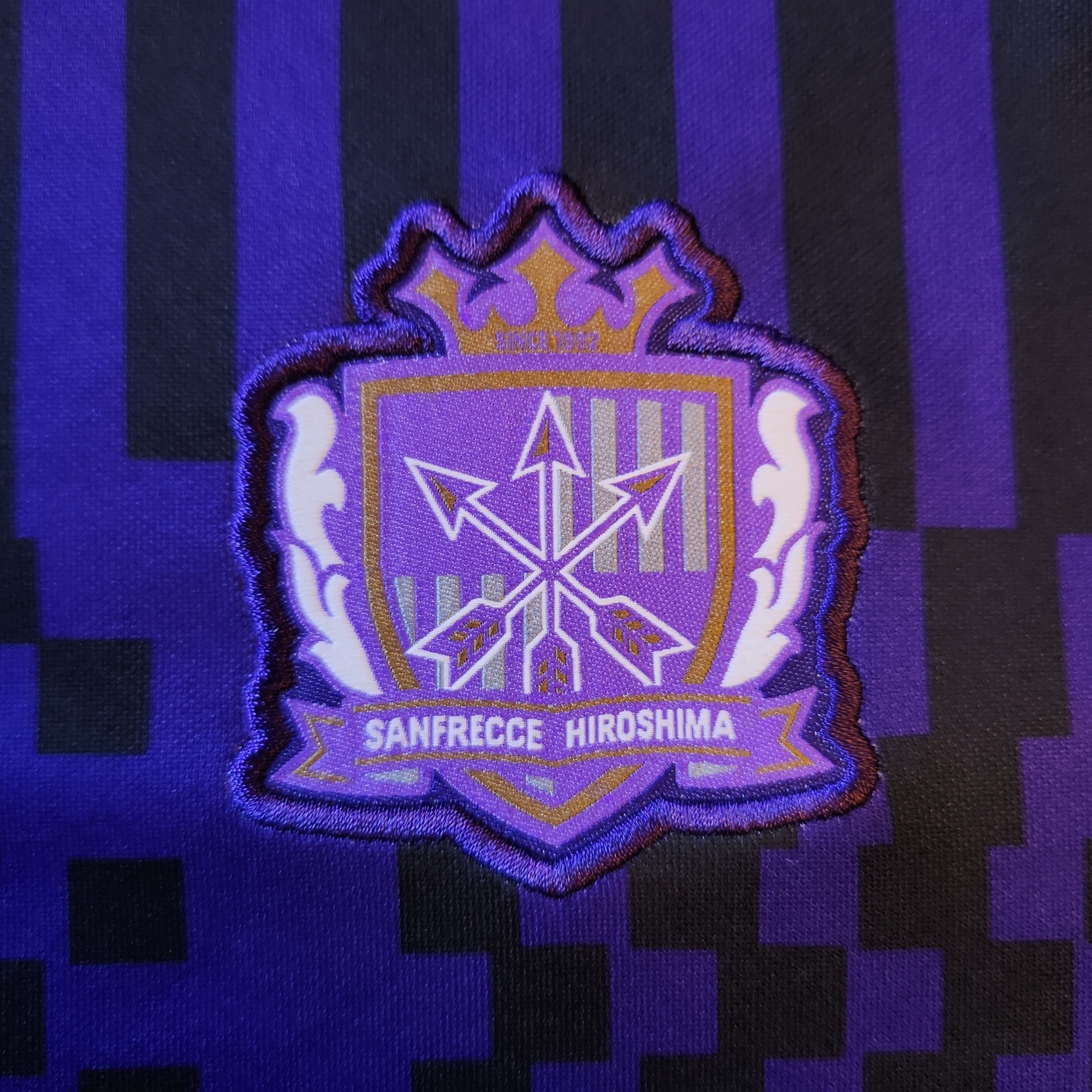 Nike Authentic Sanfrecce Hiroshima 2022-2023 Pre-match Training Size US L / EU 52-54 / 3 - 3 Thumbnail