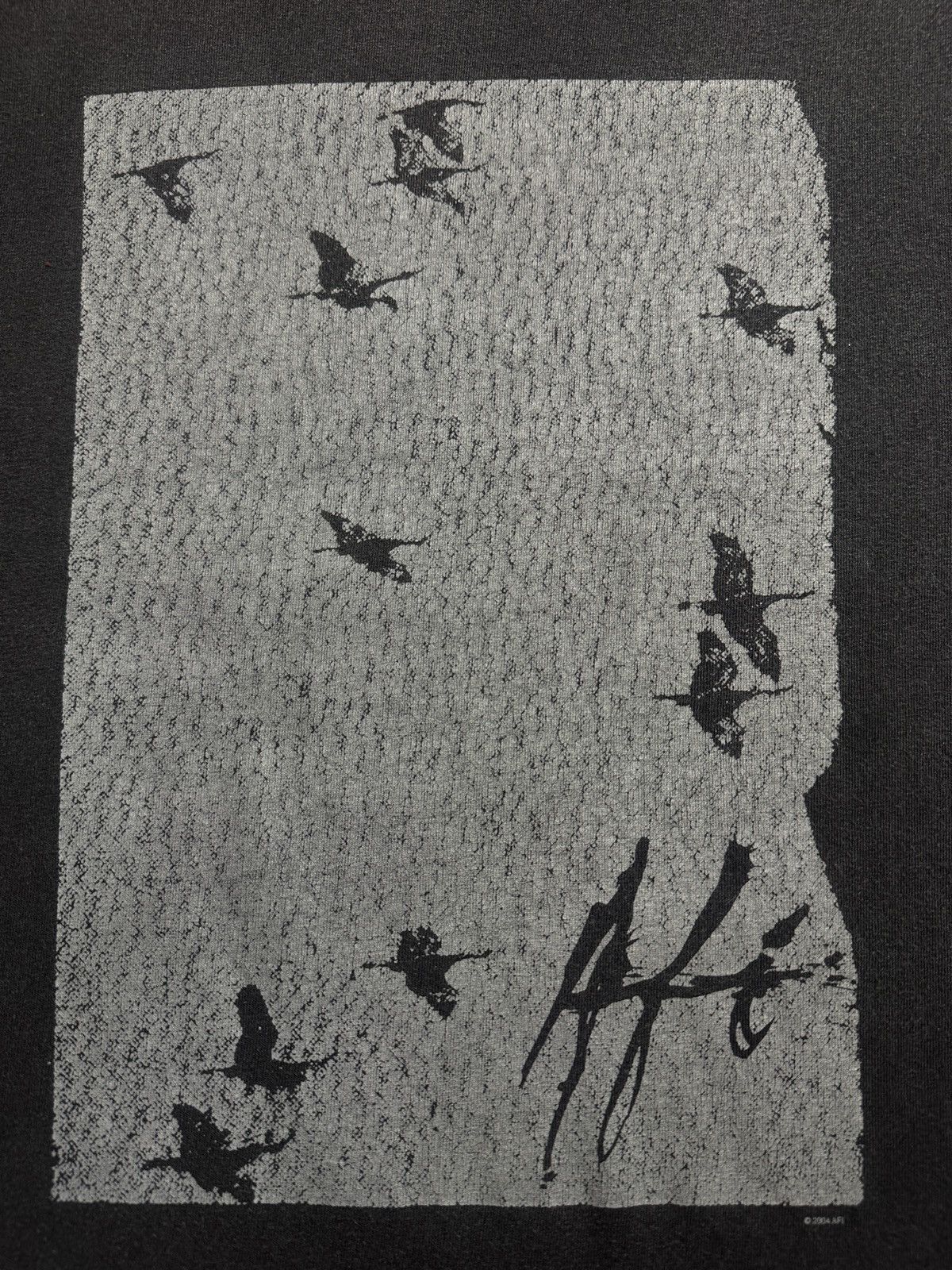 Band Tees Vintage 2004 AFI Band tee birds Gothic Punk Rock Emo 2000s Size US S / EU 44-46 / 1 - 5 Thumbnail