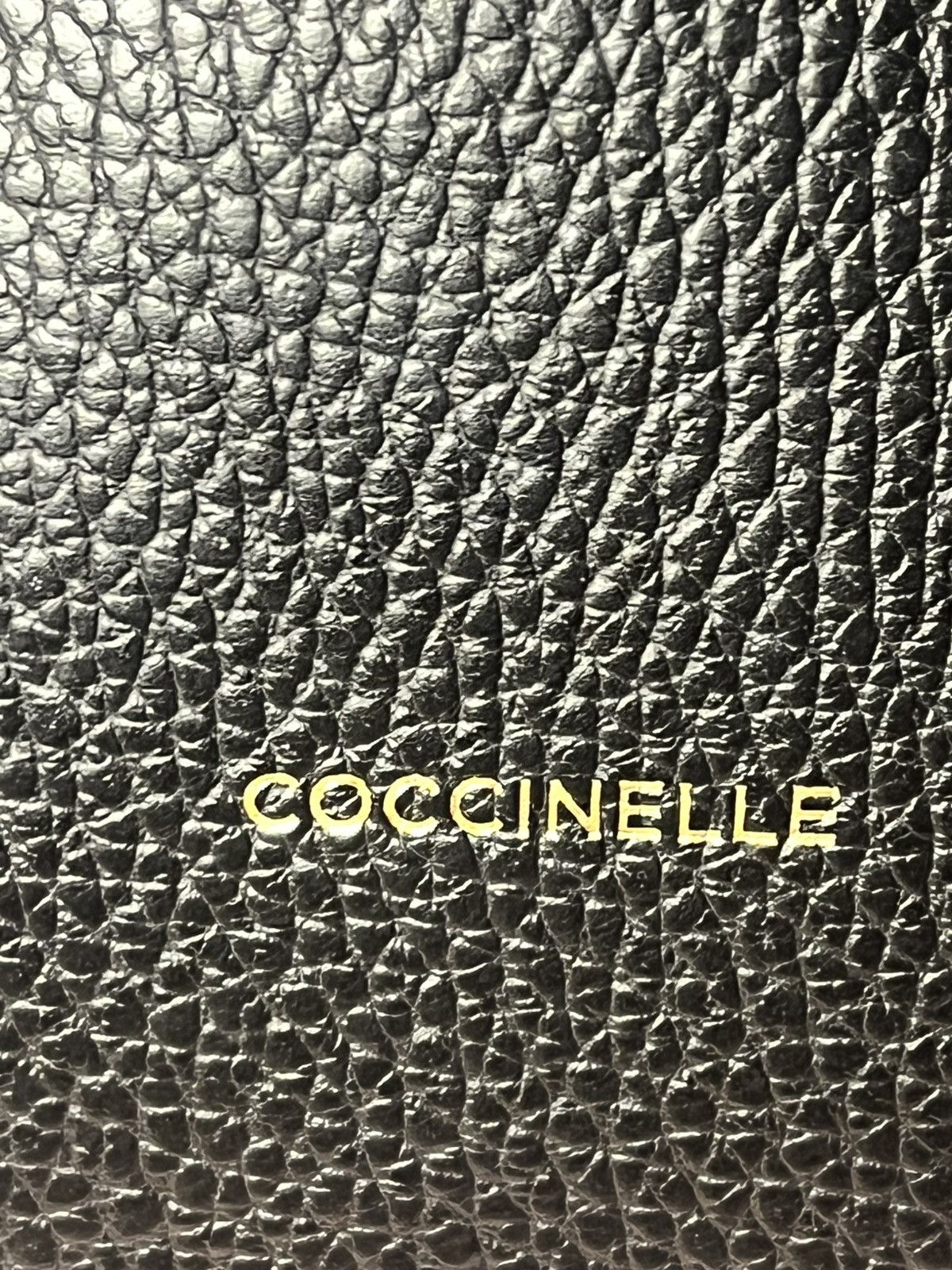 Other Coccinelle Fedra Leather Bucket Bag Size ONE SIZE - 9 Thumbnail
