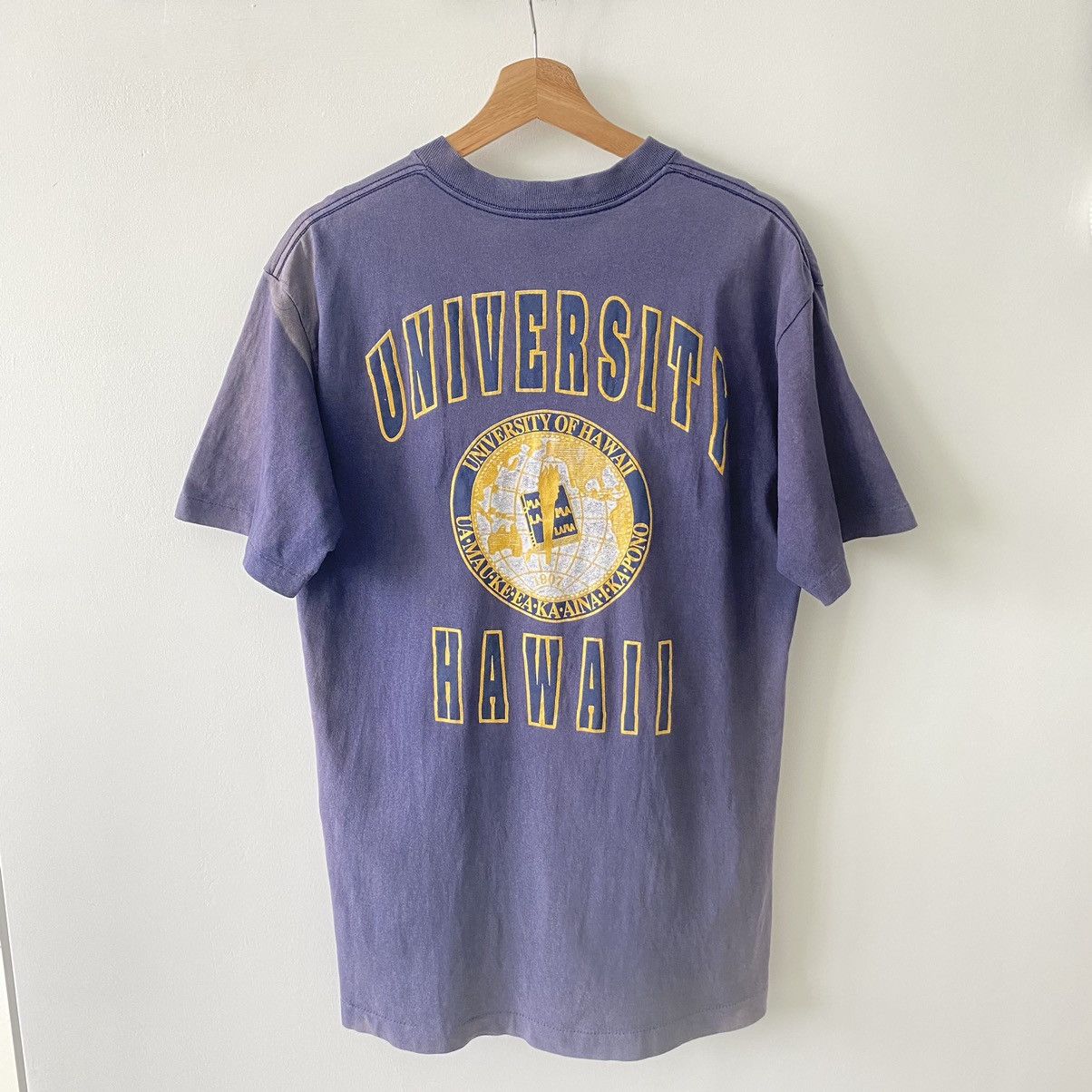 Thrashed Faded Vintage 90s University Of Hawaii ERD OG TEE