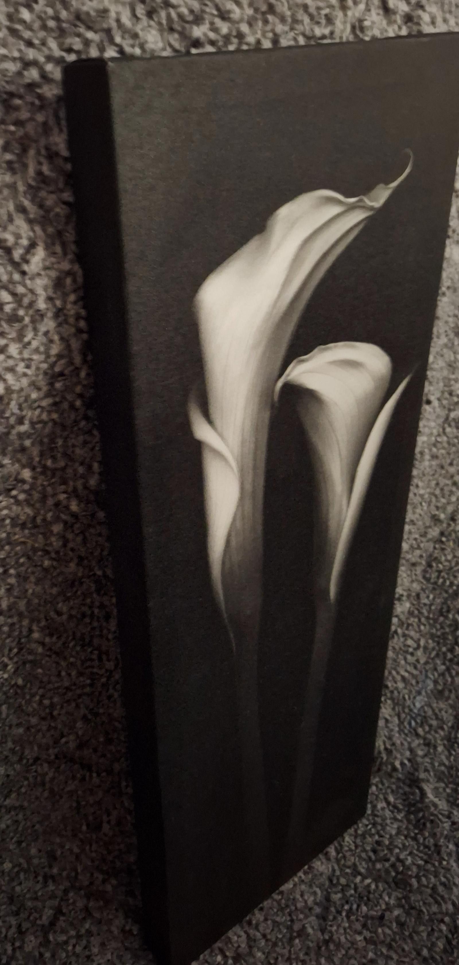 Designer Calla Lilly Flower Print - Black & White Wall Art Size ONE SIZE - 2 Thumbnail