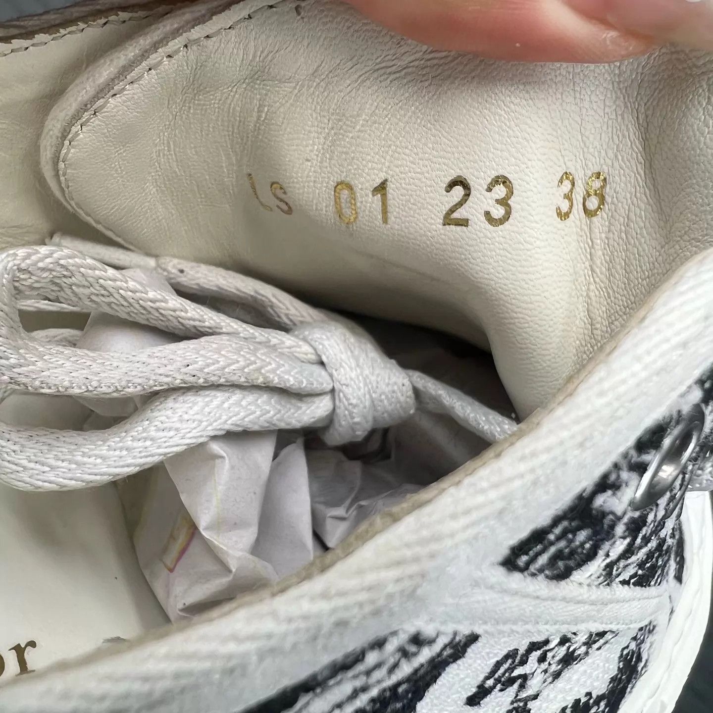 Dior Dior Walk Embroidered Skate Shoes Size 38 Box Mint Size US 7.5 / IT 37.5 - 8 Thumbnail