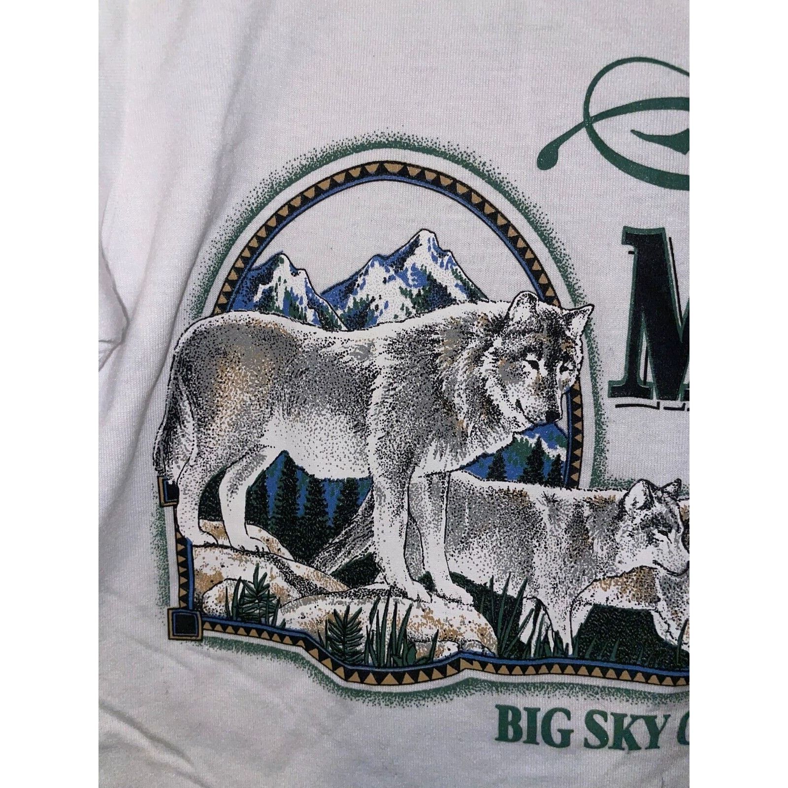 Jerzees Vintage Montana Shirt Big Sky Country Preseve Nature Tee 90s Size US S / EU 44-46 / 1 - 2 Thumbnail