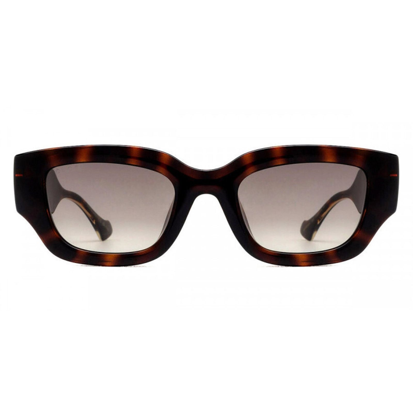 NWT Gucci GG1558SK-002 Tortoise Square 51mm Sunglasses Gucci GG1558SK-002-51 Sunglasses – livesunglasses.com main image 2