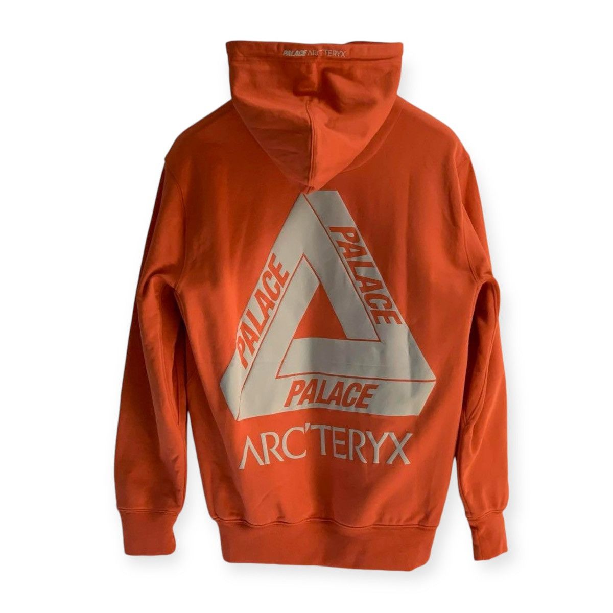 Arc'teryx × Palace Arcteryx x Palace Hoodie Size US M / EU 48-50 / 2 - 3 Thumbnail