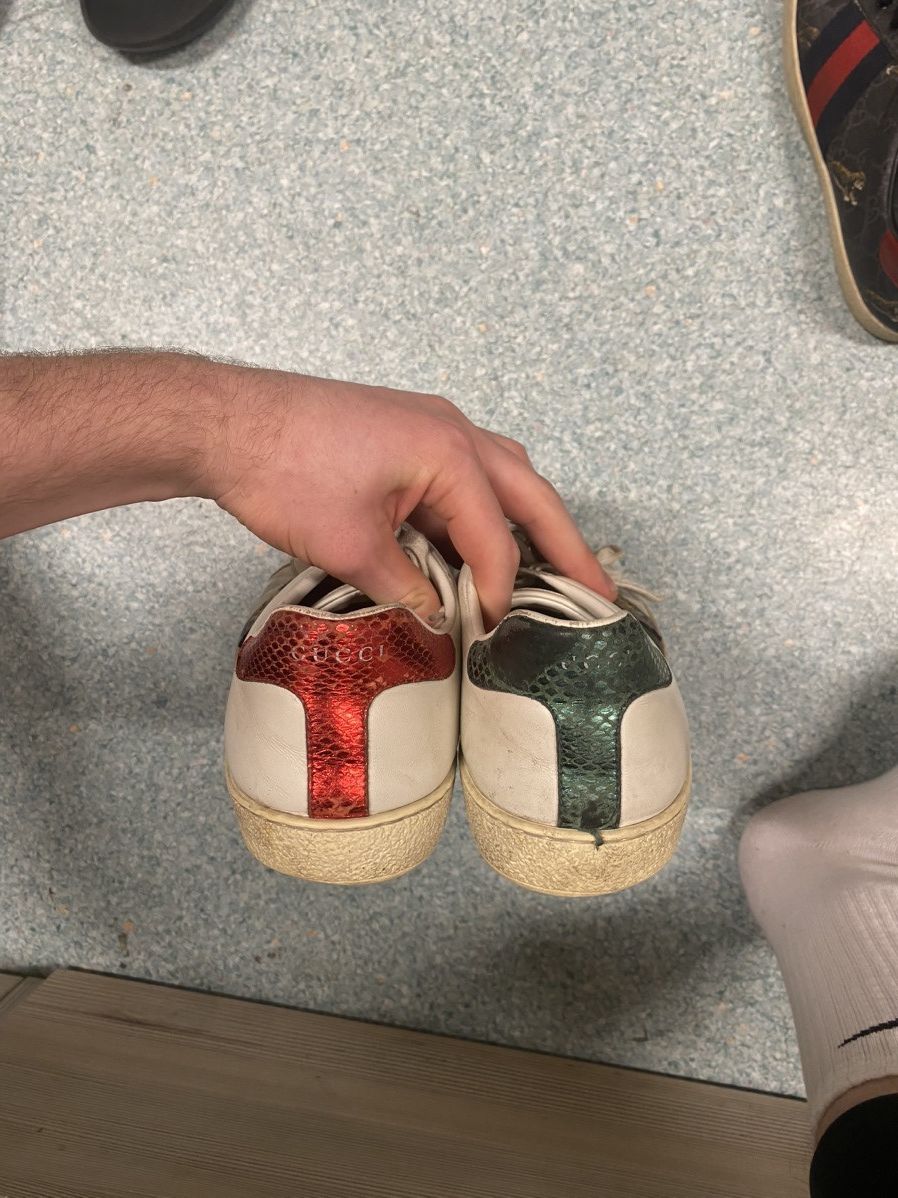 Gucci Gucci Ace Tiger Size US 10 / EU 43 - 4 Thumbnail