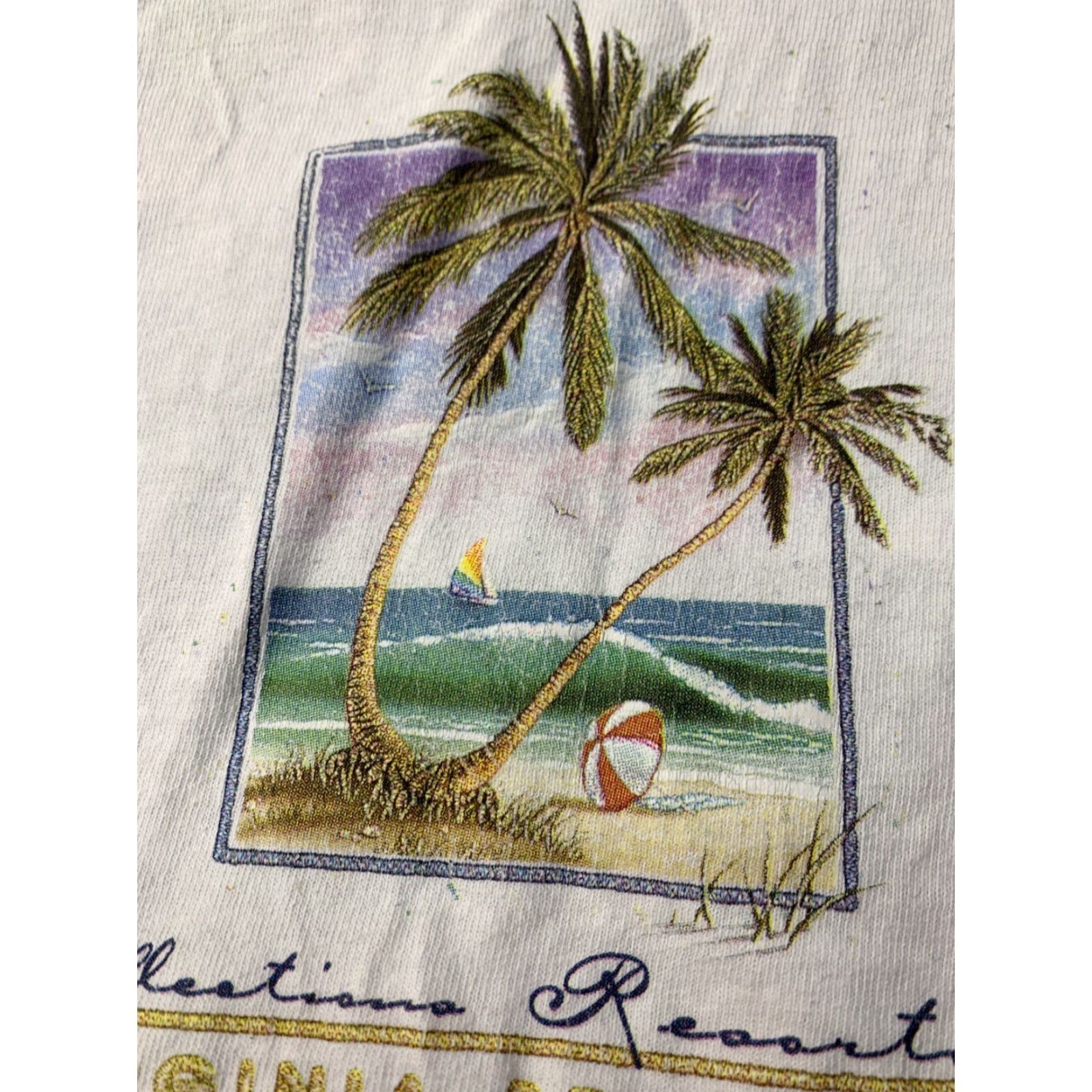 Anvil VIRGINIA BEACH 2000 VINTAGE VTG BAND Y2K SHIRT JERSEY TEE ANVIL ORIGINAL SIZE L Size US L / EU 52-54 / 3 - 4 Thumbnail