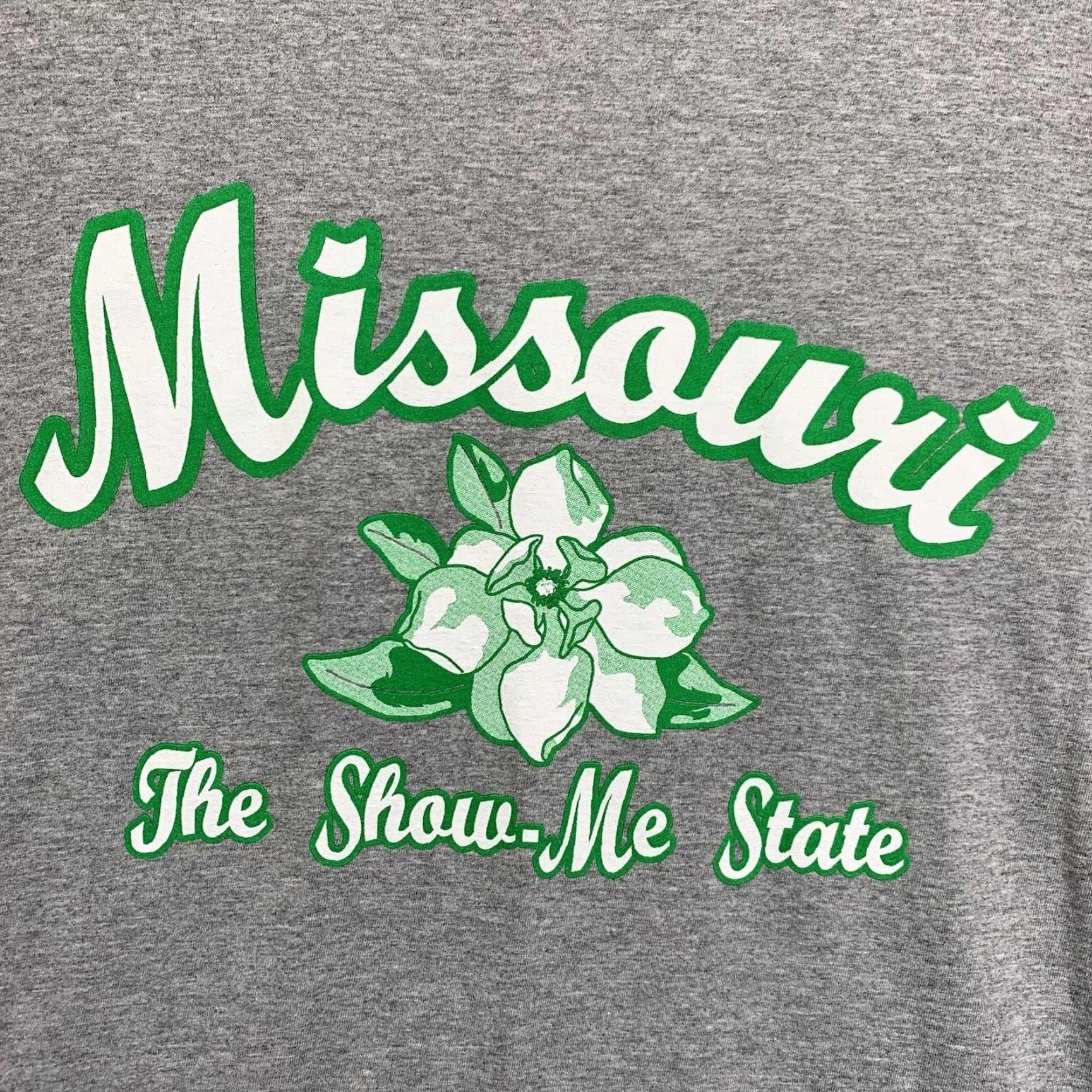 Fruit Of The Loom Missouri T Shirt Mens XL The Show Me State Hawthorn Blossom Gray EUC Fruit of the Loom Logo Knit Crew Neck Short Sleeve Art American Unisex Adults XS? Size US XL / EU 56 / 4 - 6 Thumbnail