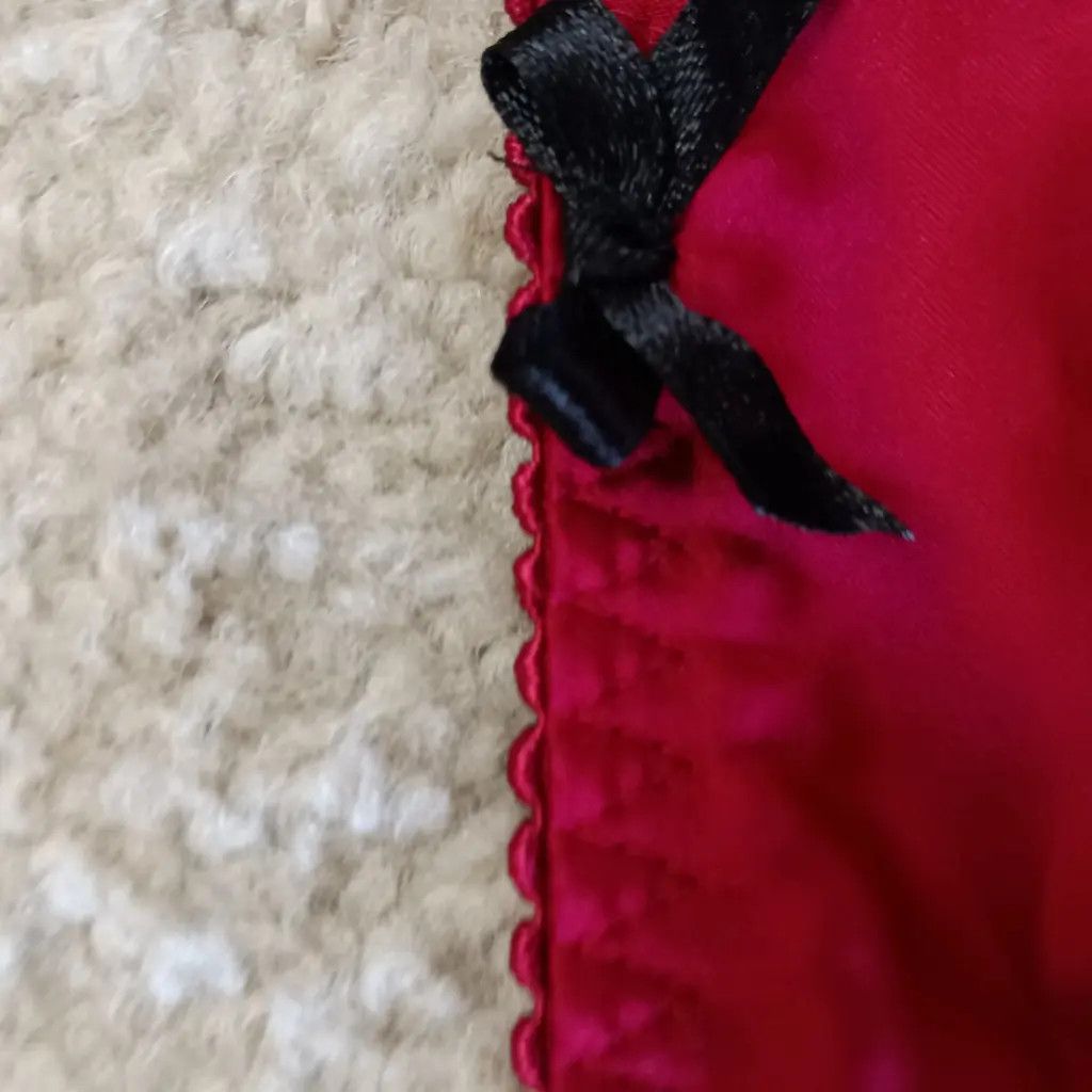 Other Secrets In Lace 3XL Crimson Corset Bralette — Rare Archive Size 3XL / US 20-22 - 8 Thumbnail