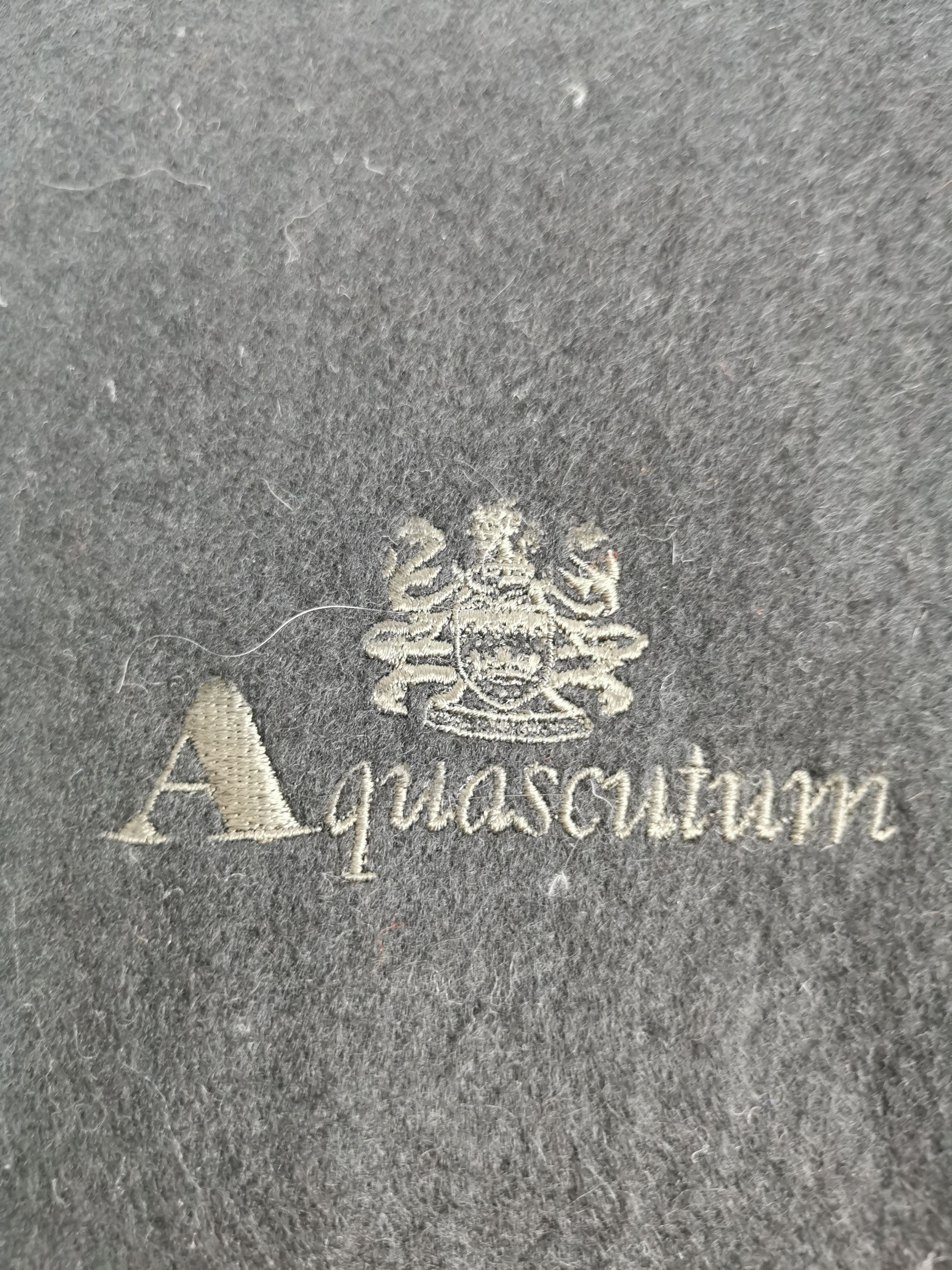 Aquascutum Aquascutum scarf muffler Size ONE SIZE - 4 Thumbnail