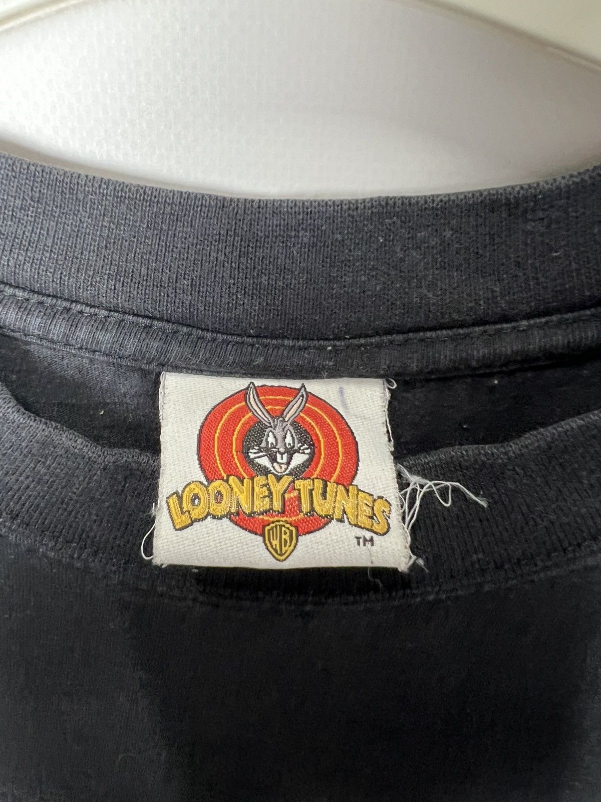 Vintage Vintage 2000 Taz Devil Looney Tunes Free Riders T-Shirt Size US L / EU 52-54 / 3 - 4 Thumbnail