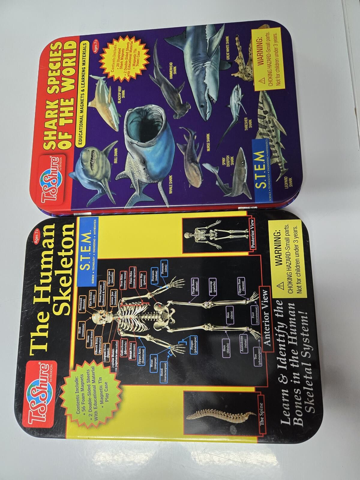Other STEM Shark Human Skeleton Magnetic Kits TS Sure Educational Size ONE SIZE - 1 Thumbnail