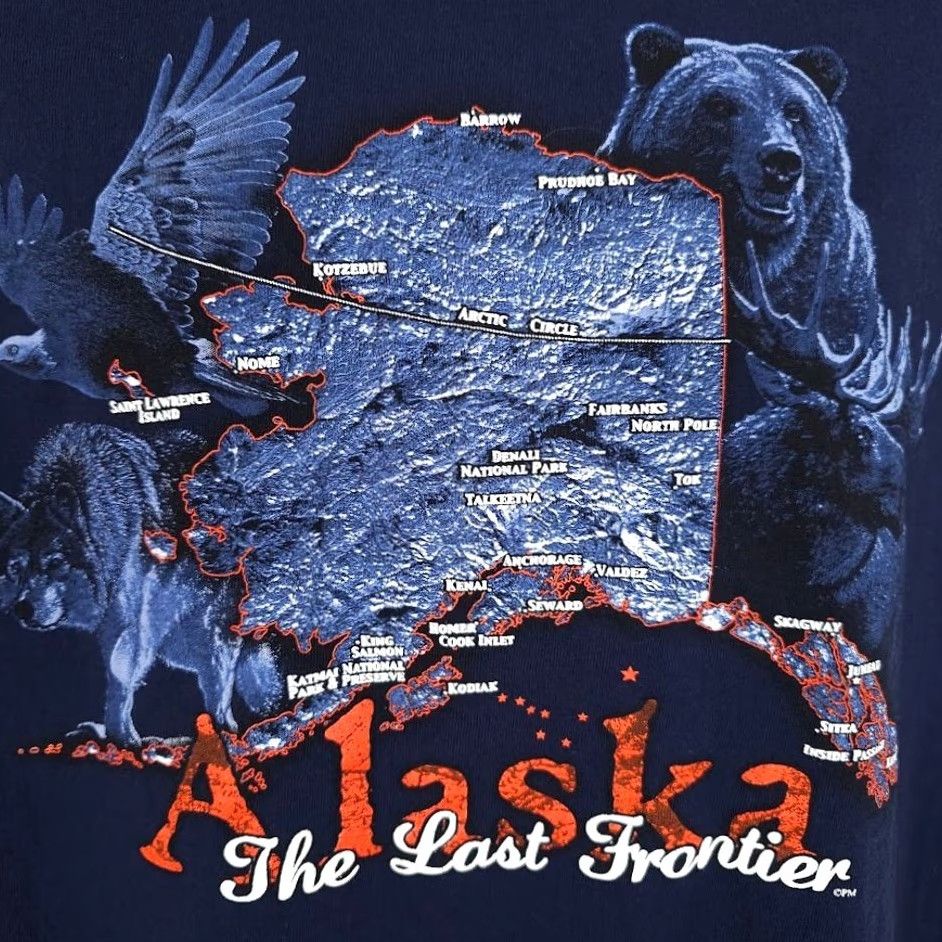 Delta VINTAGE Delta Alaska T Shirt Mens Large Blue Travel Moose Nature Tee Bald Eagle Grizzly Bear Wolf Moose Souvenir Mens Size US L / EU 52-54 / 3 - 3 Thumbnail