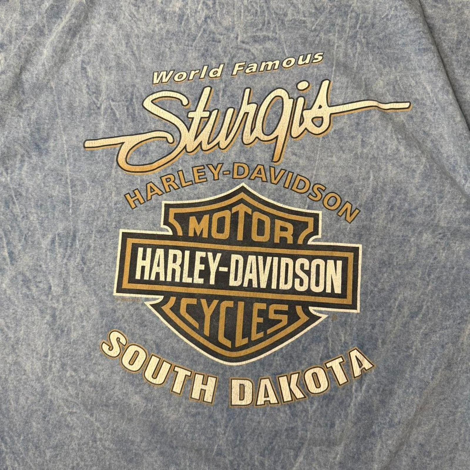 Harley Davidson × Vintage Vintage 2002 Harley Davidson Sturgis Black Hills Rally Tee Size US XL / EU 56 / 4 - 4 Thumbnail
