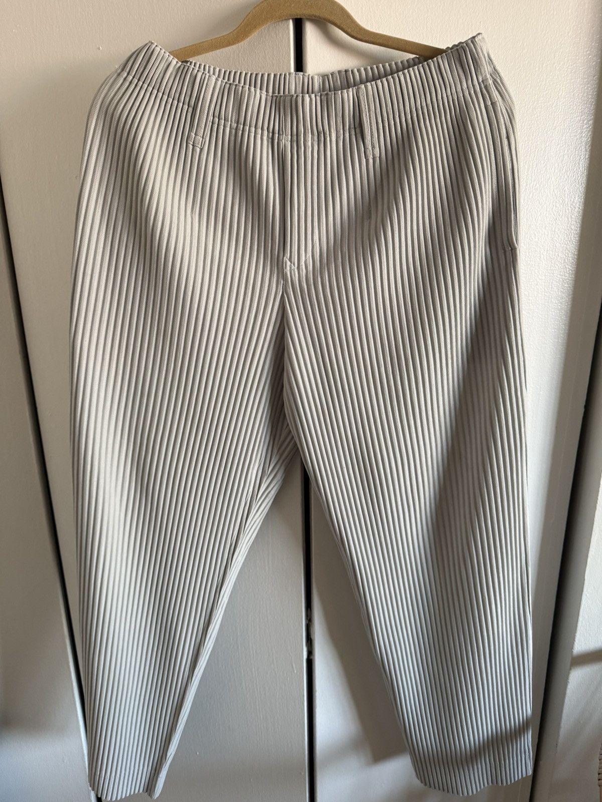 Issey Miyake Homme Plisse Grey Pleated Pants, Size 2