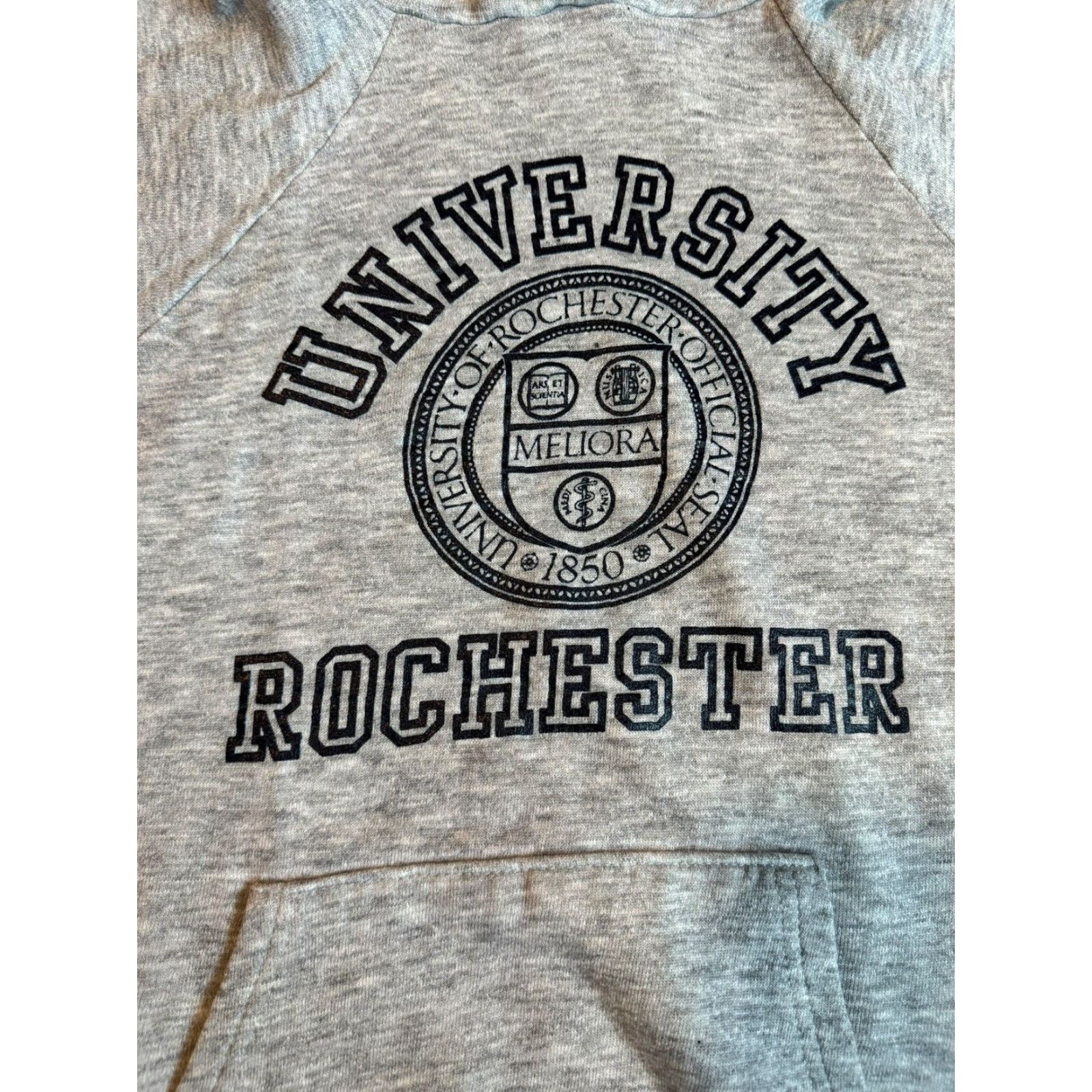 Champion VINTAGE 80s Champion University of Rochester Gray Hoodie L Large Unisex Cotton Long Sleeve College 1980s Rare Size US L / EU 52-54 / 3 - 6 Thumbnail