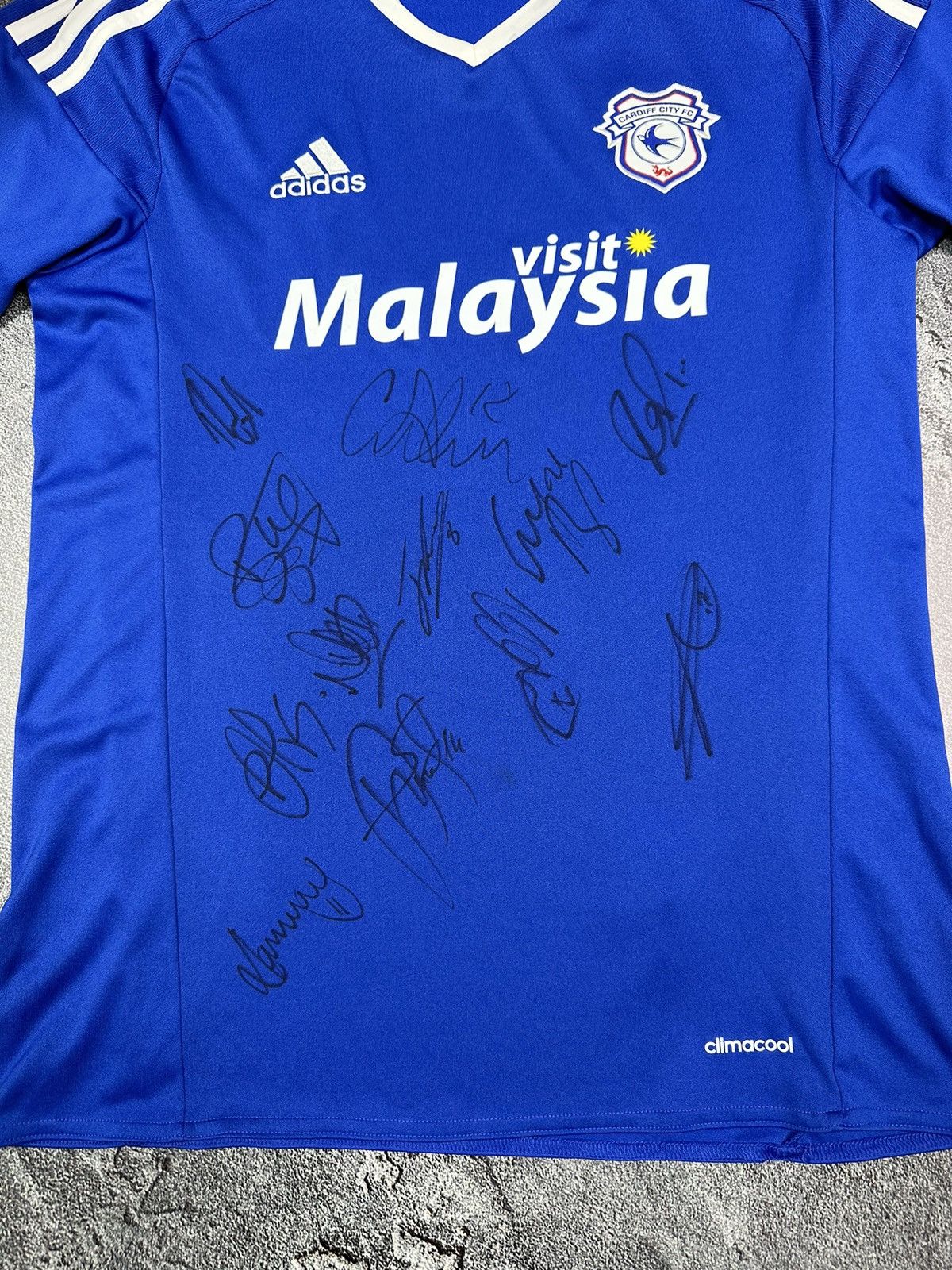 Adidas Cardiff City Soccer Jersey Football 2015/16 with autographs Size US S / EU 44-46 / 1 - 7 Thumbnail