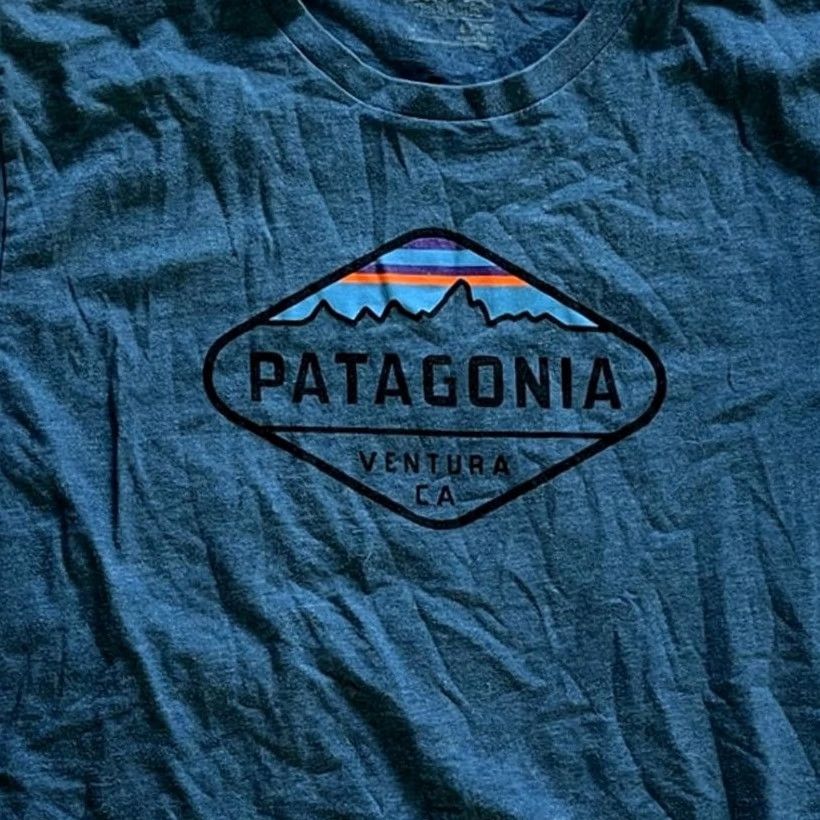 Patagonia Patagonia Mens Fitz Roy Crest Cotton / Poly T-Shirt Blue Size M Slim Fit Shirt Mens Blue Fitz Roy Crest Cotton / Poly T-Shirt 20" Pit 26" Length Size US M / EU 48-50 / 2 - 2 Thumbnail