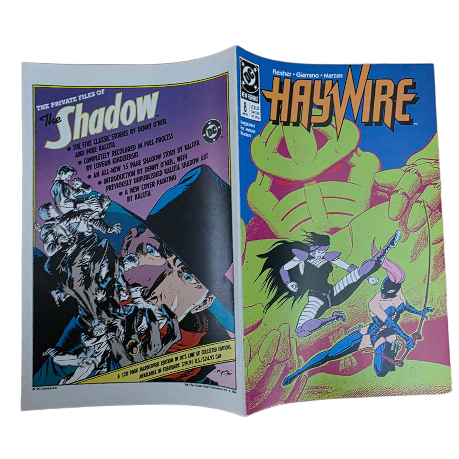 DC Comics Haywire #8 1989 Past Lives DC Vol 1 Comic (C) Size ONE SIZE - 3 Thumbnail