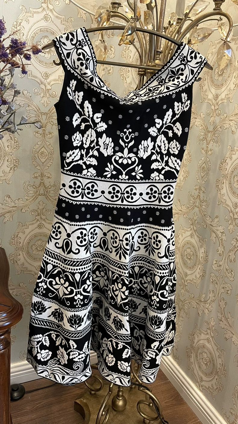 Alexander McQueen Alexander McQUEEN Jacquard dress 2505-Nextarrow Size S / US 4 / IT 40 - 1 Thumbnail
