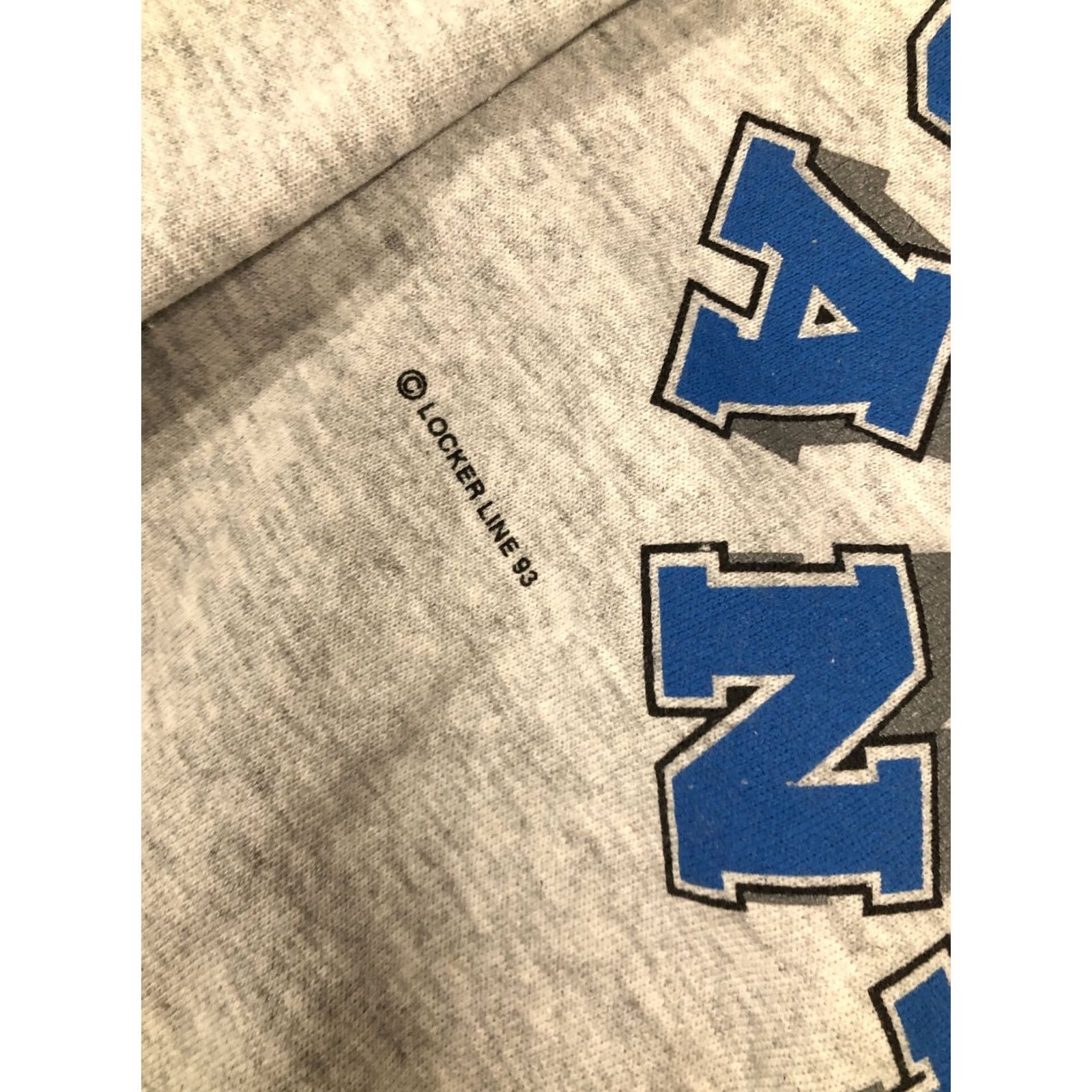 Tultex VINTAGE Tultex Carolina Panthers Sweatshirt 1993 Crew Neck XL Men Gray USA 90s Football NFL Graphic Print Pullover Size US XL / EU 56 / 4 - 4 Thumbnail