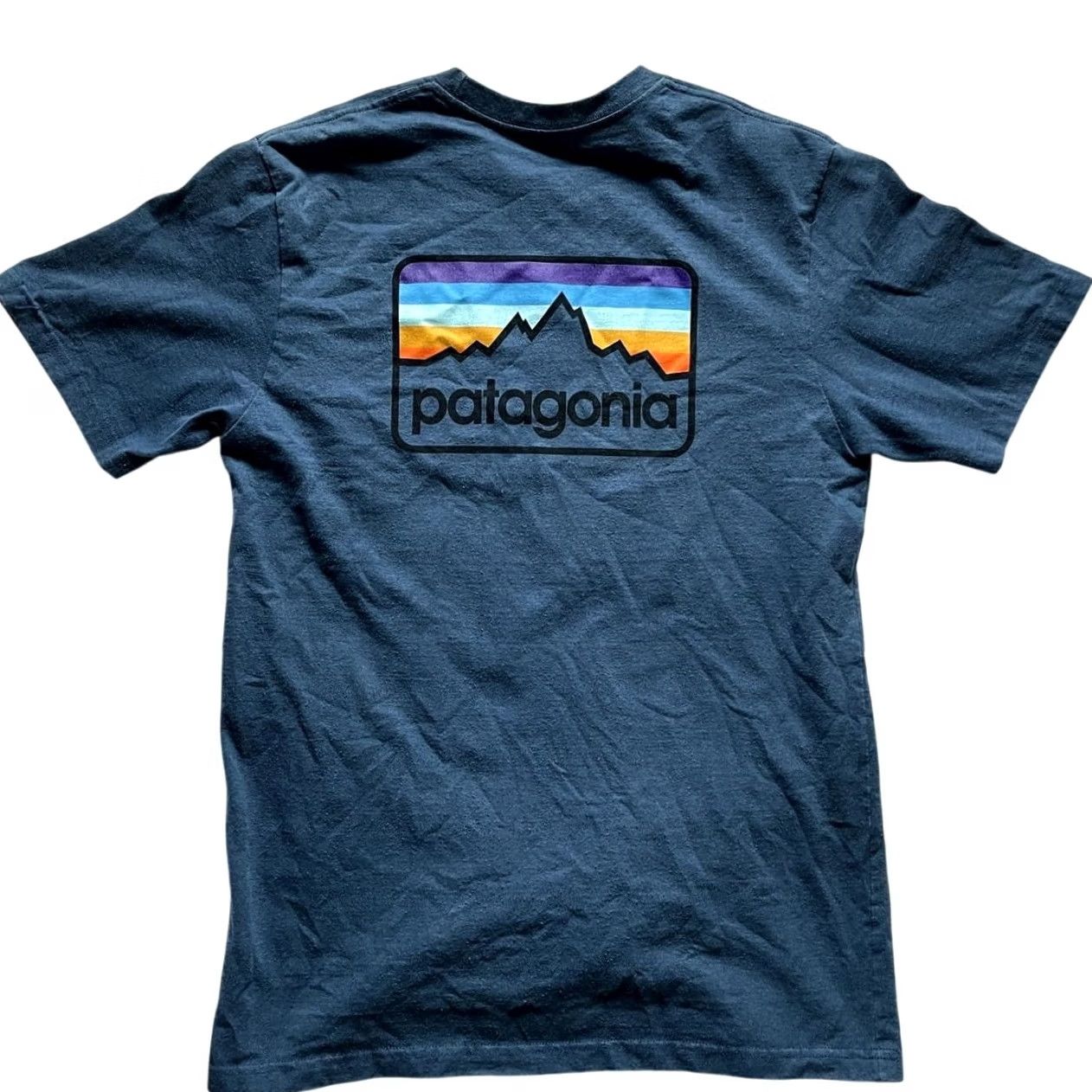 Patagonia Patagonia Line Logo Badge Responibili-Tee Short Sleeve Shirt Size M Blue Mens Size US M / EU 48-50 / 2 - 2 Thumbnail