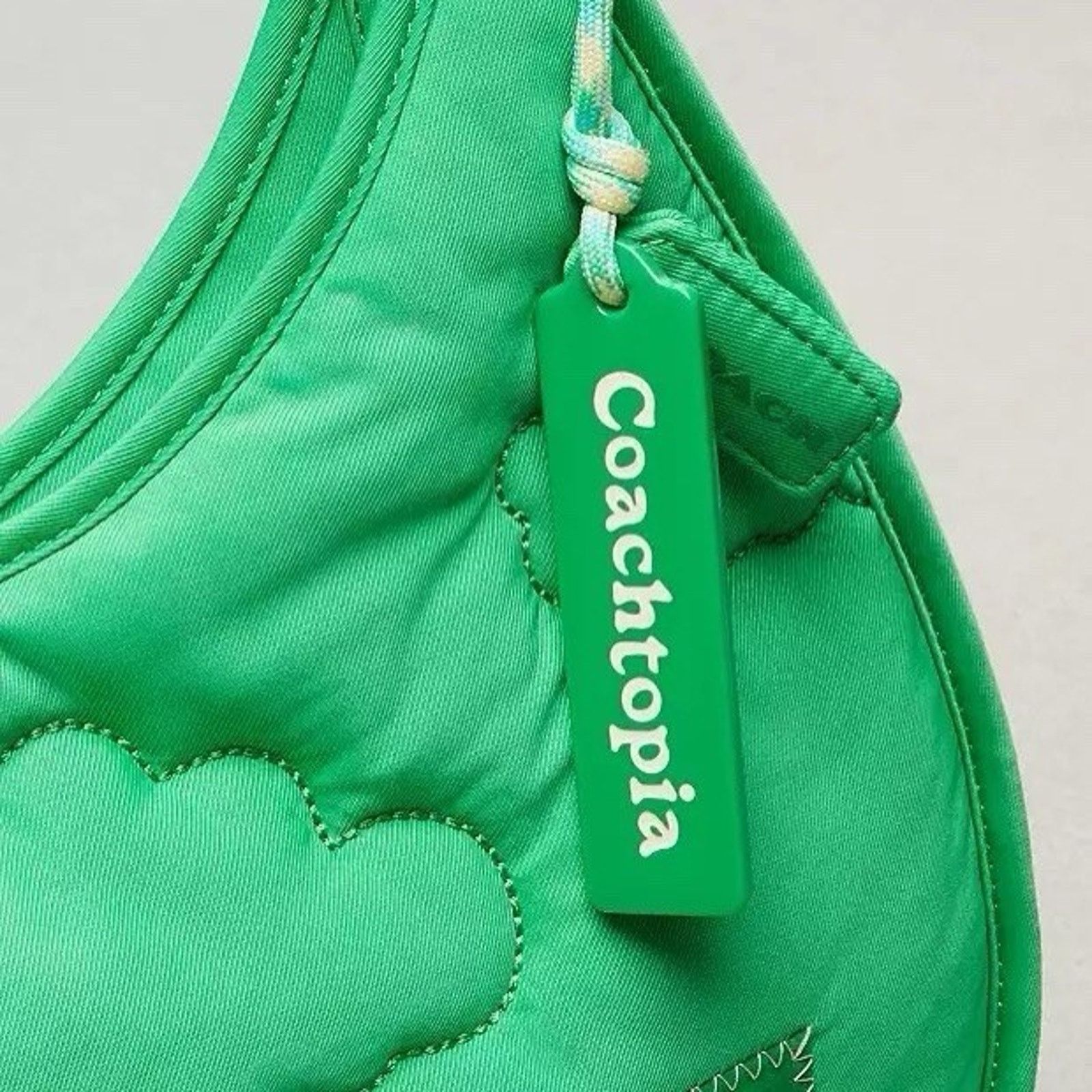 Coach NWT Coach CV875 Coachtopia Loop Ergo Bag Cloud Kelp Purse Size ONE SIZE - 13 Thumbnail