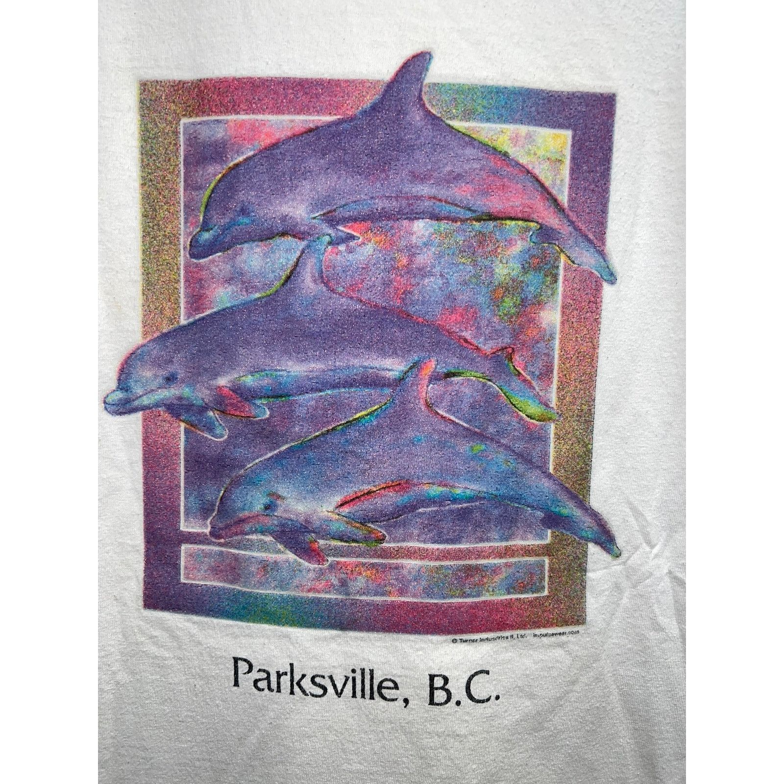 Vintage Vintage Dolphin Shirt Parksville Canada Art The Woods 90s L Size US L / EU 52-54 / 3 - 2 Thumbnail